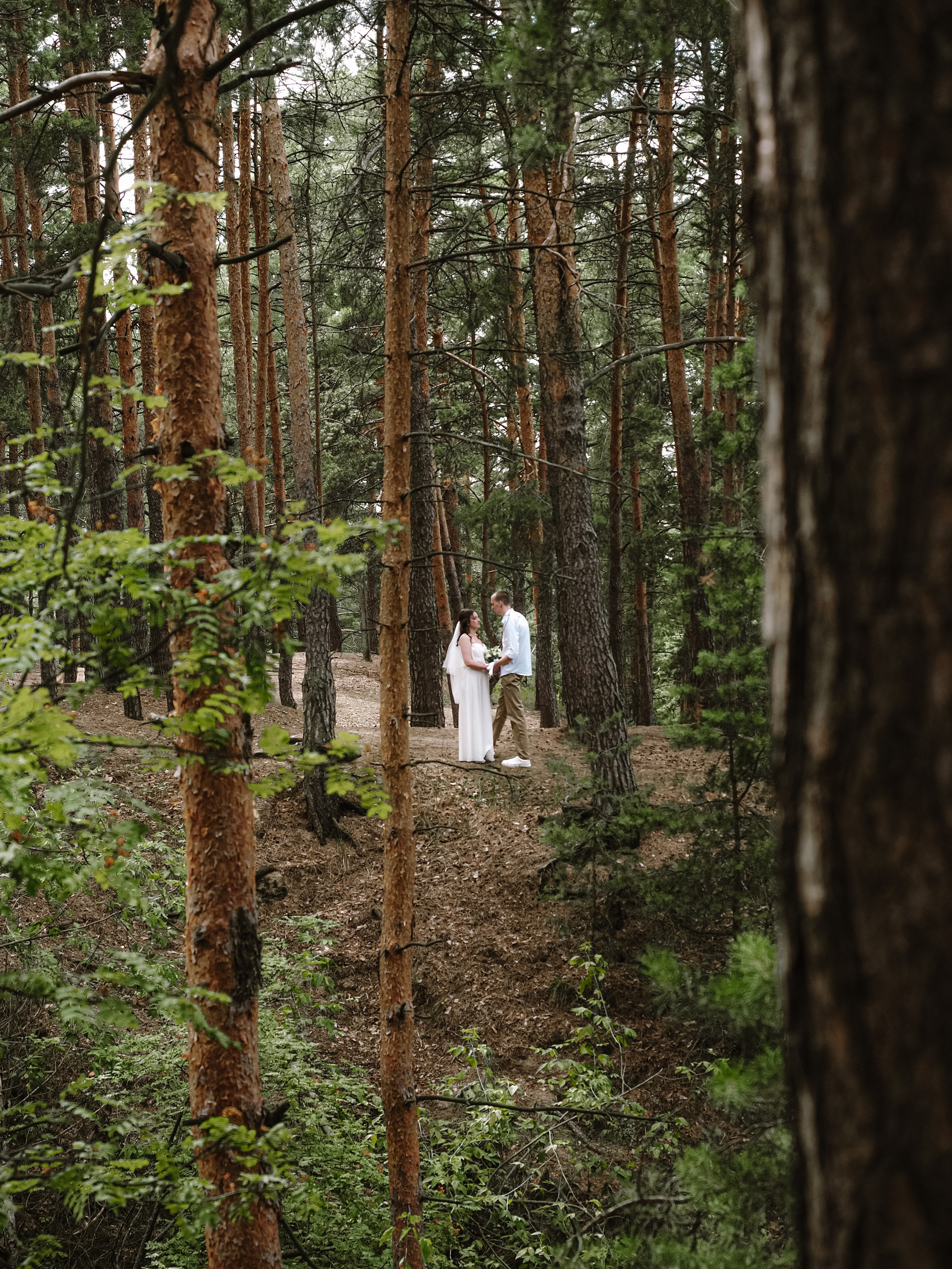Даша и Максим. Фотограф Рязань. Семейный Свадебный фотограф