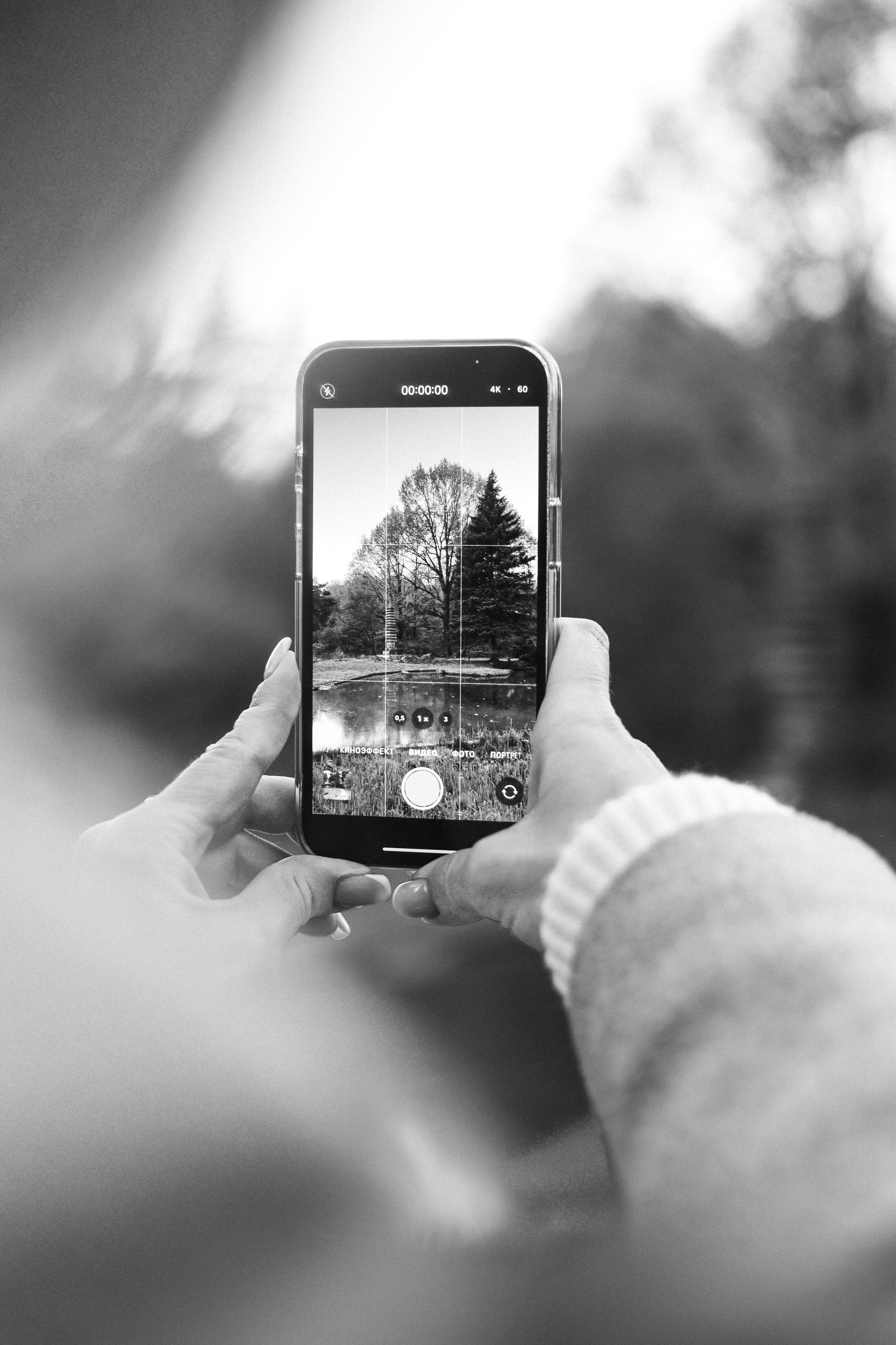 В японском саду. Фотограф Лобанов Антон, г. Москва