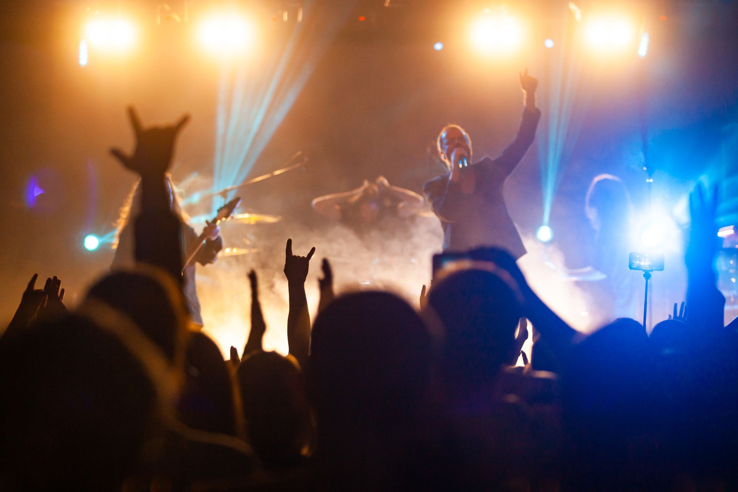 Animal ДжаZ. Репортажный фотограф Алексей Пирязев