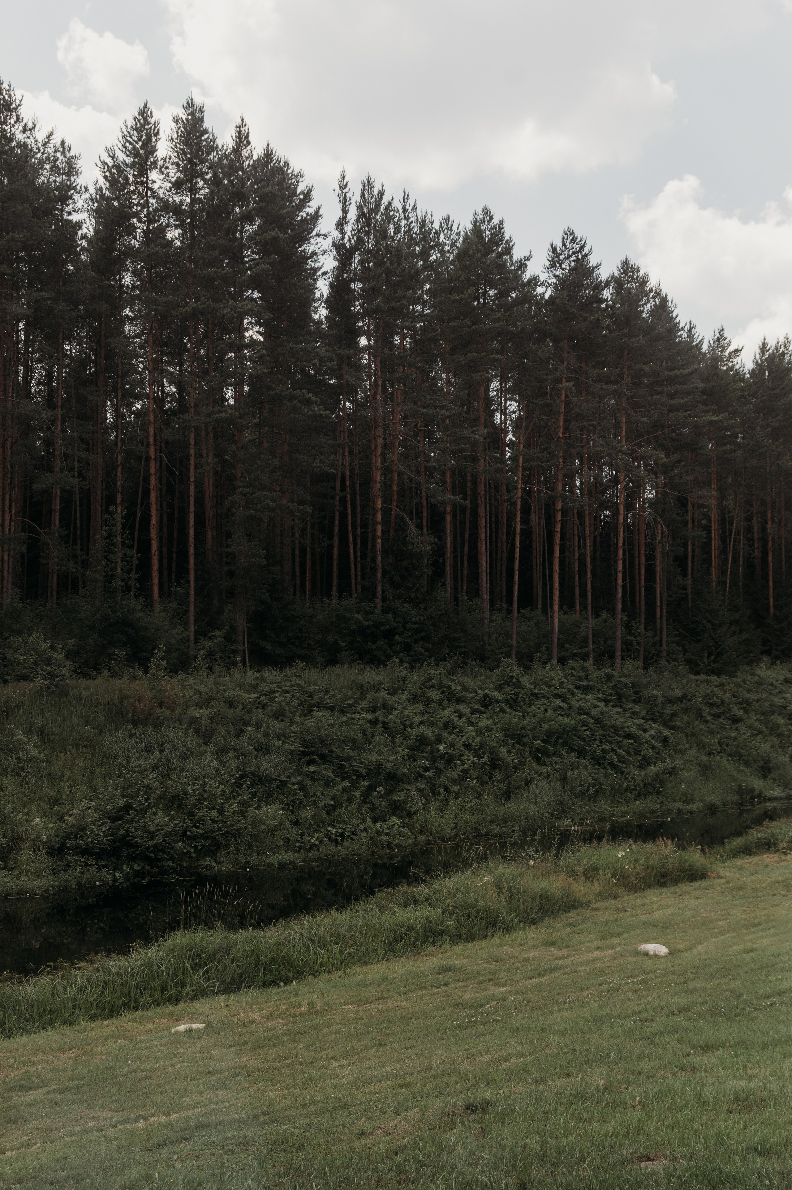 Отзывы невест о свадебном фотографе в Твери. Свадебный фотограф в Твери, Москве и Санкт-Петербурге Денисова Екатерина