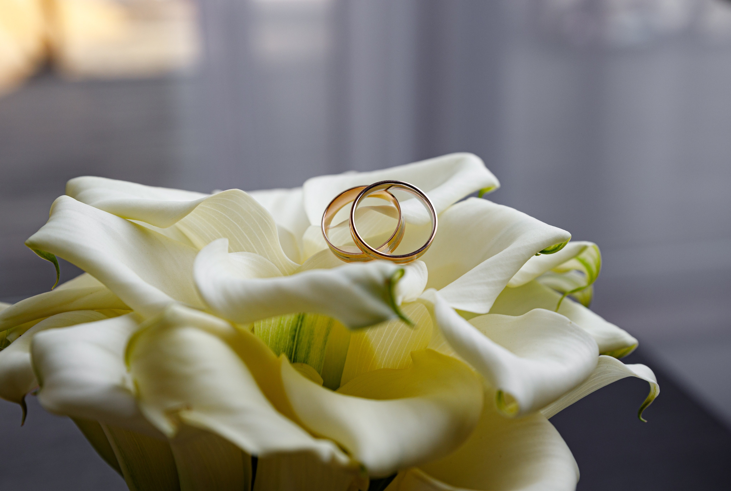 Dmitriy & Ekaterina. Профессиональный фотограф в Воронеже Владислав Крылов