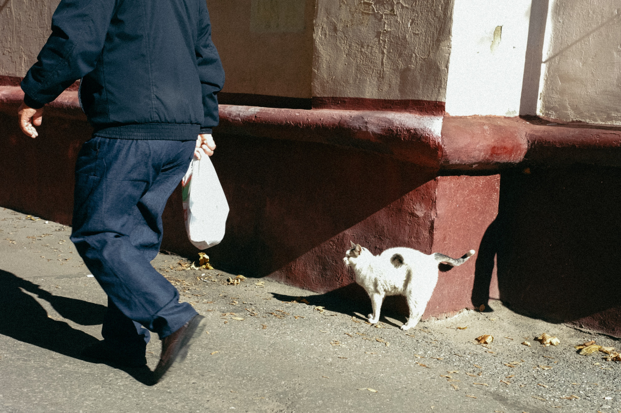 Осень. Фотограф Мурманск | Нижний Новгород • Анна Хижняк