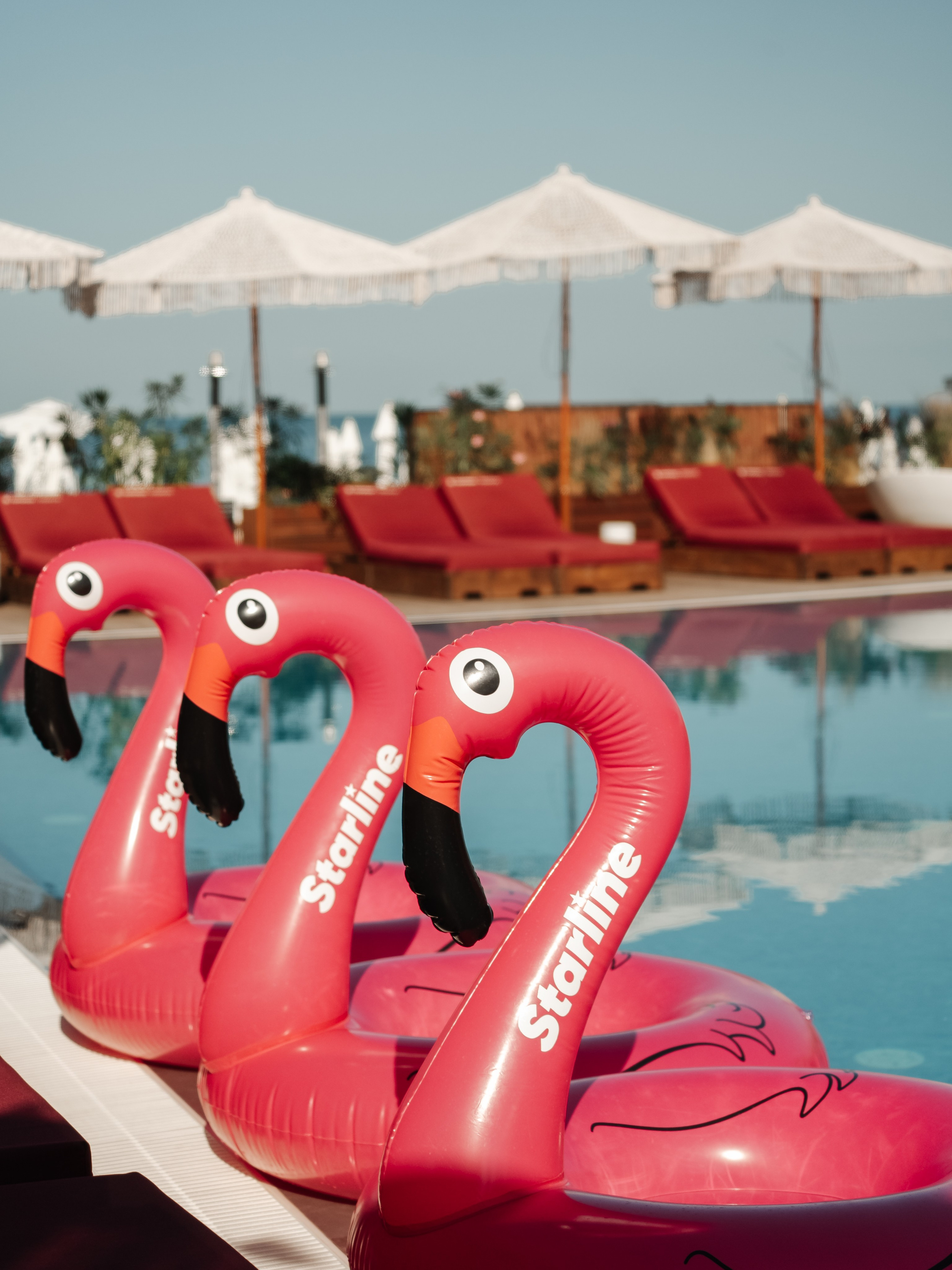 РЕПОРТАЖНАЯ СЪЕМКА. Жильцова Диана фотограф г. Сочи