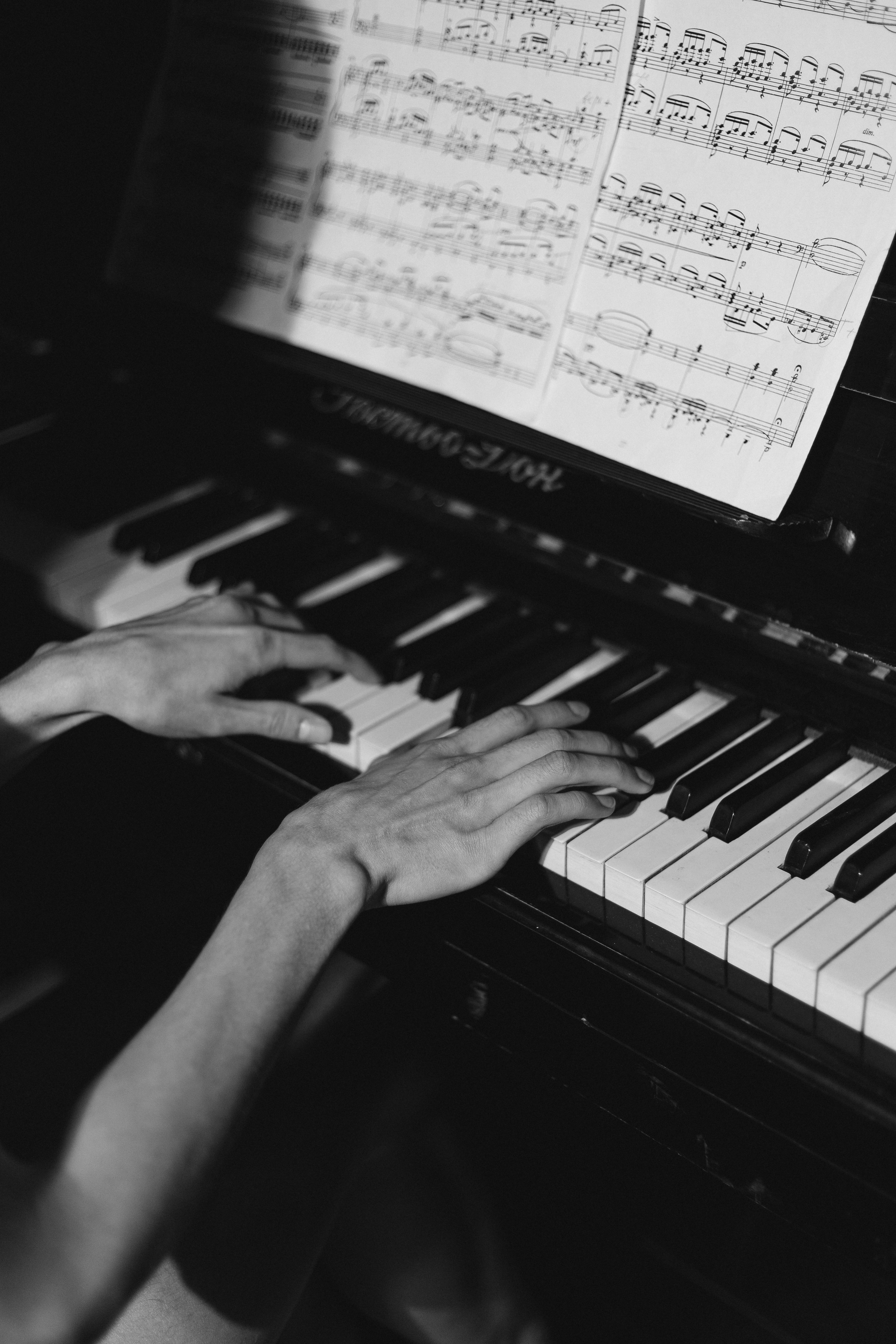 Дарья. Фотограф свадебных и парных историй Кристина Шакула