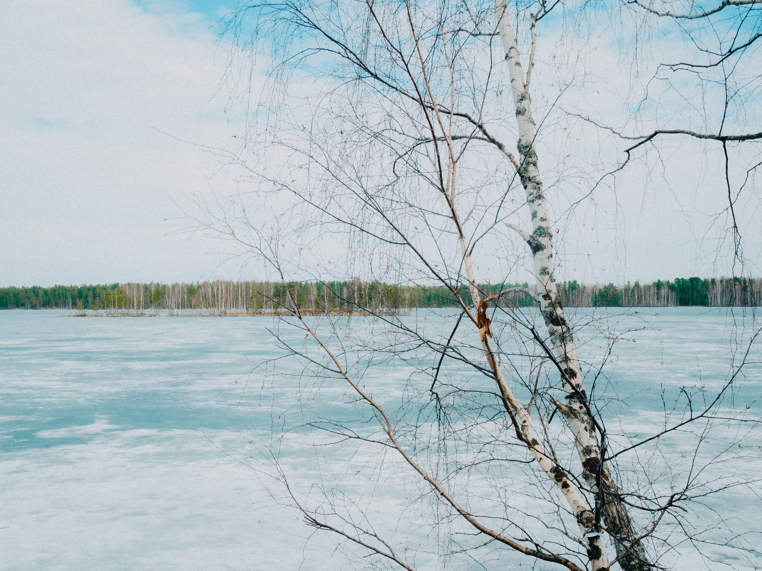 Карелия '23. Фёдор Малюгин. Ваш бади в визуале