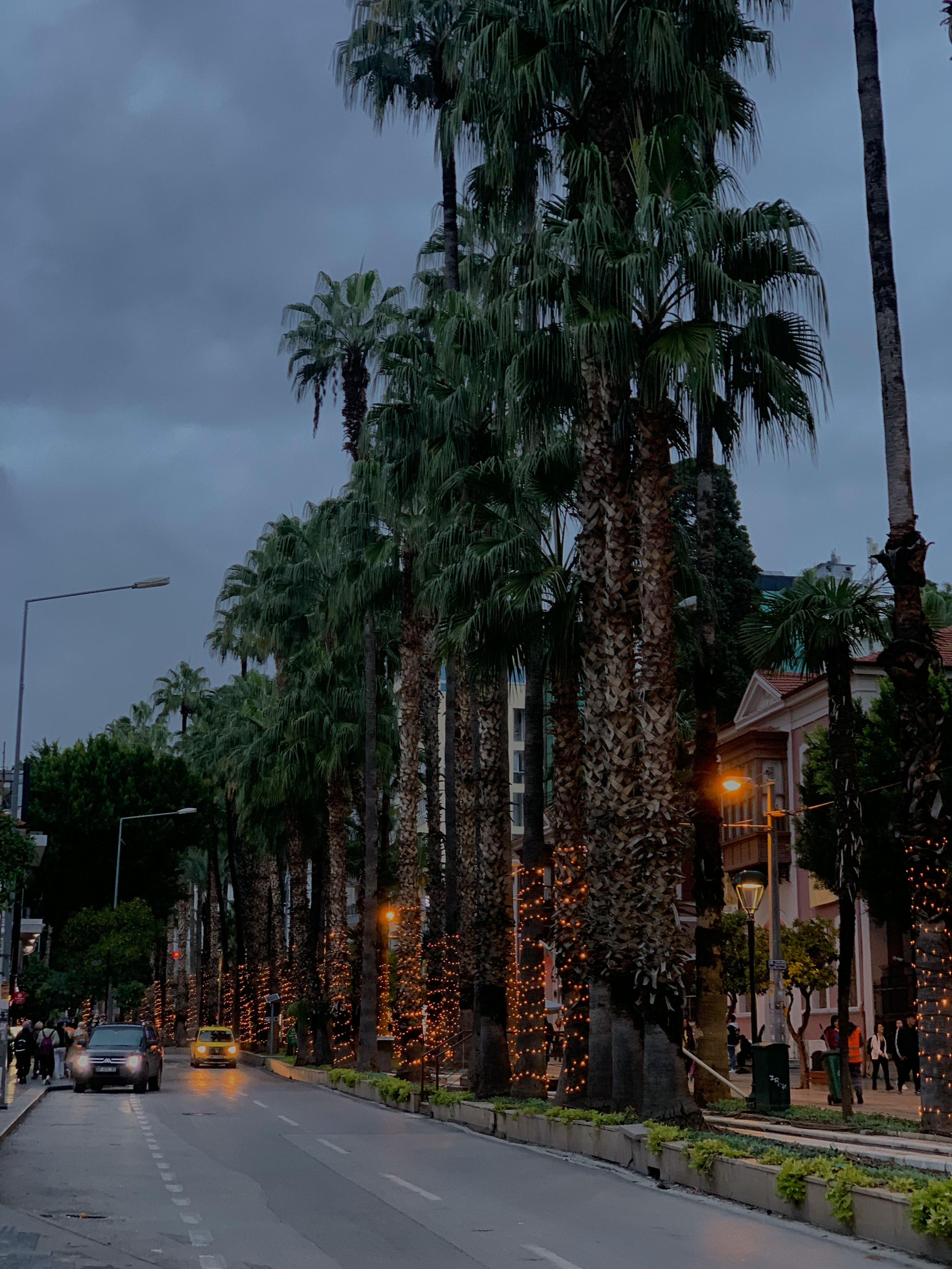CINEMA. ПЕРСОНАЛЬНЫЙ ФОТОГРАФ