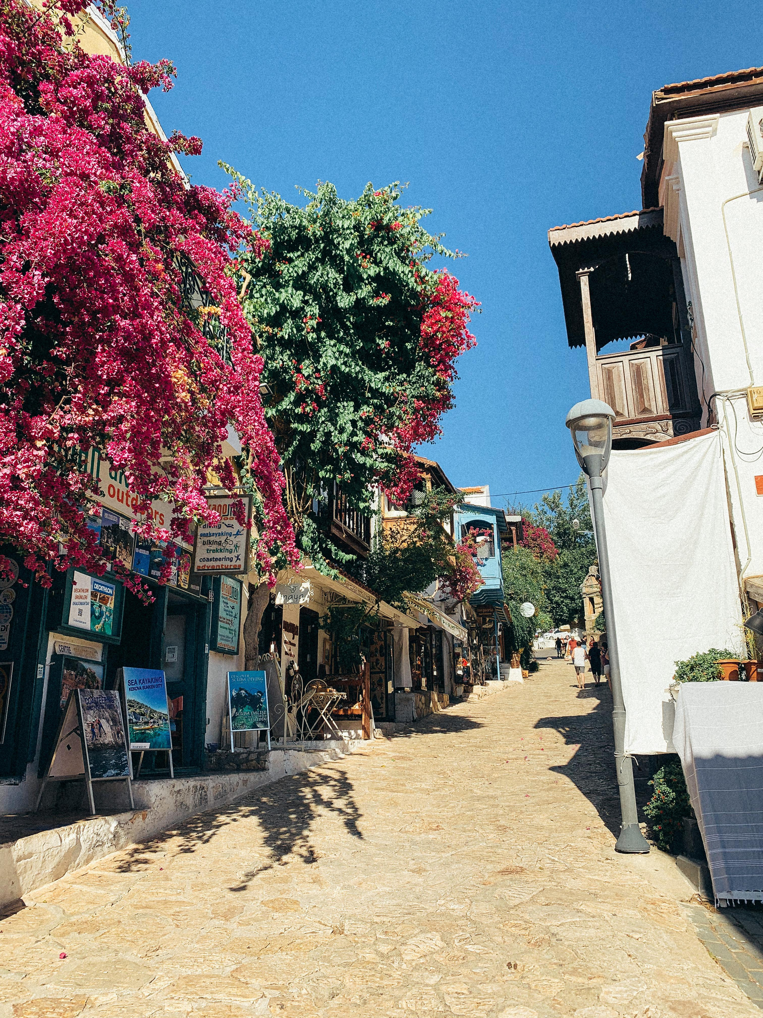 CINEMA. ПЕРСОНАЛЬНЫЙ ФОТОГРАФ