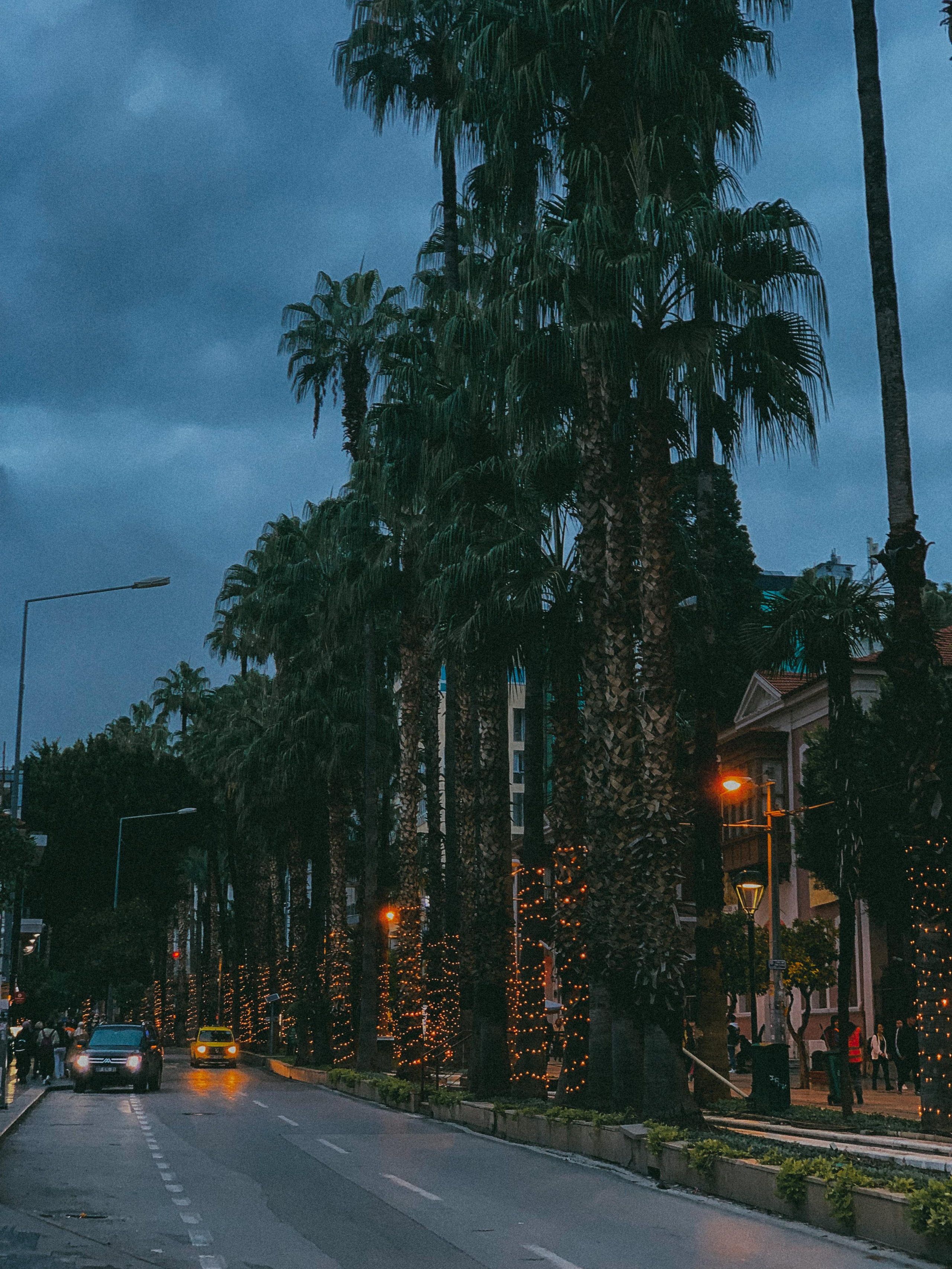CINEMA. ПЕРСОНАЛЬНЫЙ ФОТОГРАФ