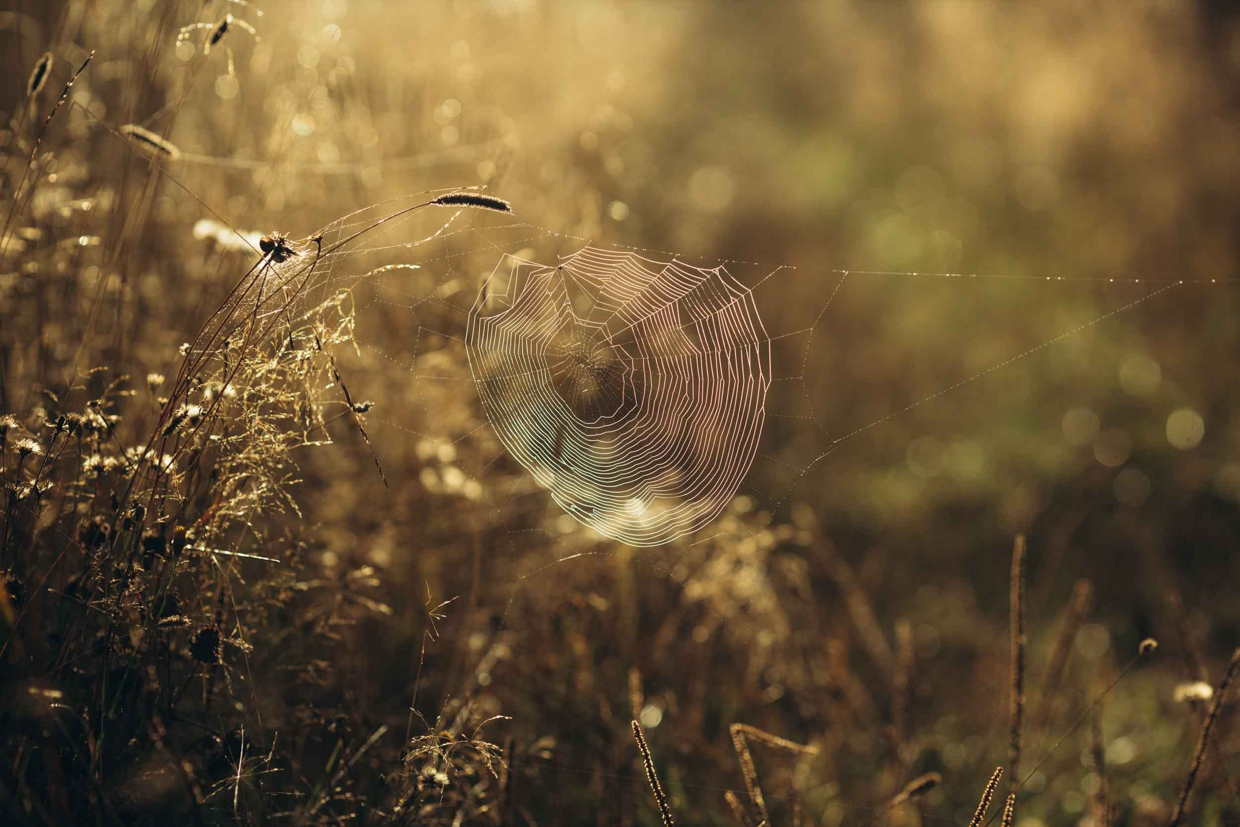 Природные пейзажи. Наталия Клевинскас портретный фотограф в Костроме