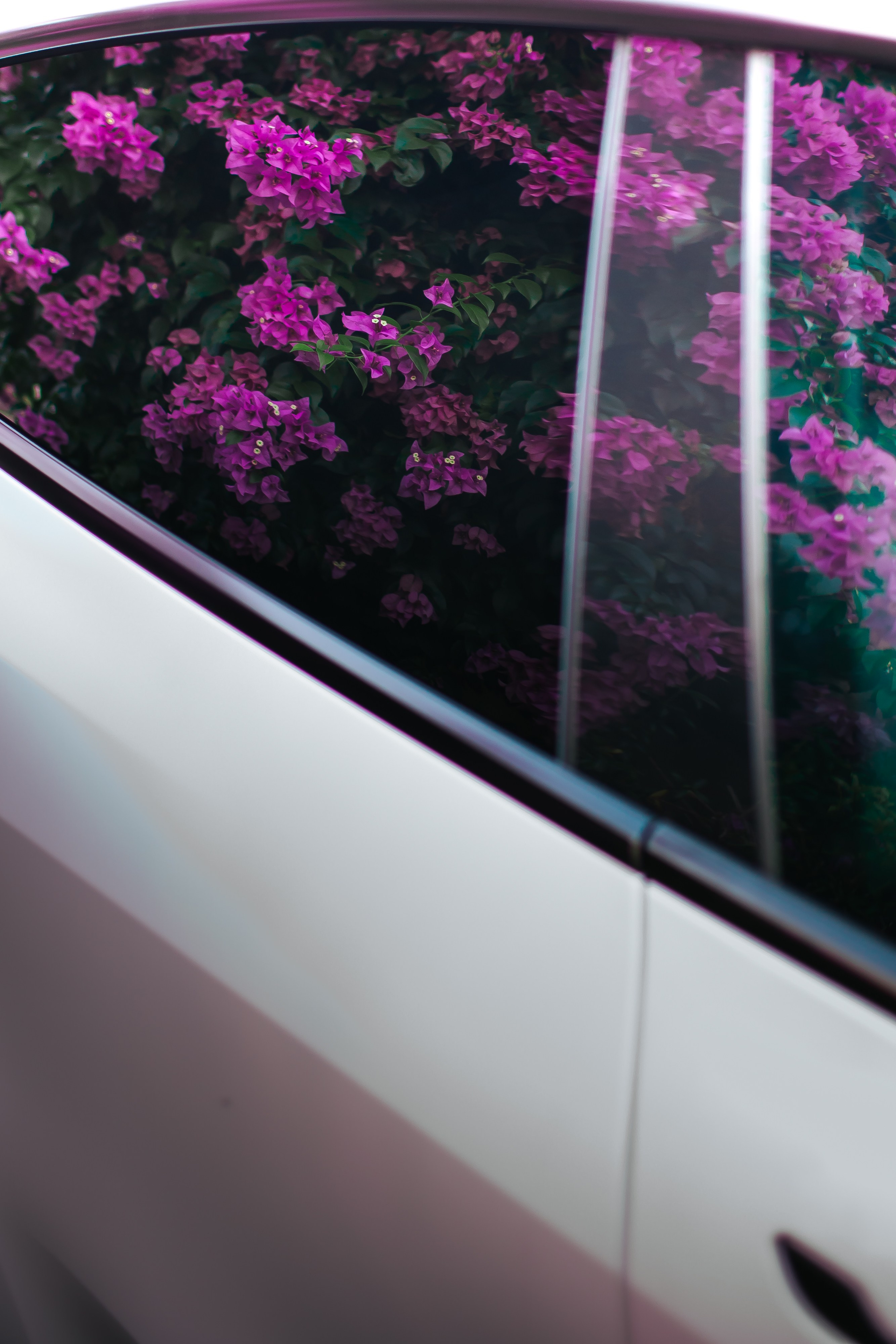 Tesla Model 3 Pearl. Фотограф в на Пхукете Сергей Войлоков