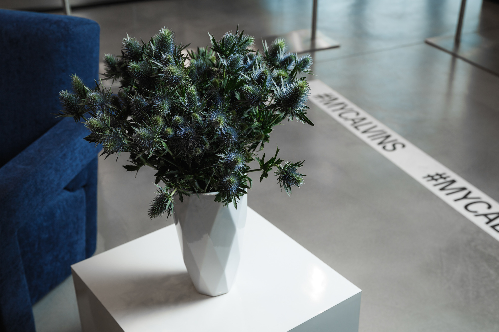 CALVIN KLEIN. Feelmedia production