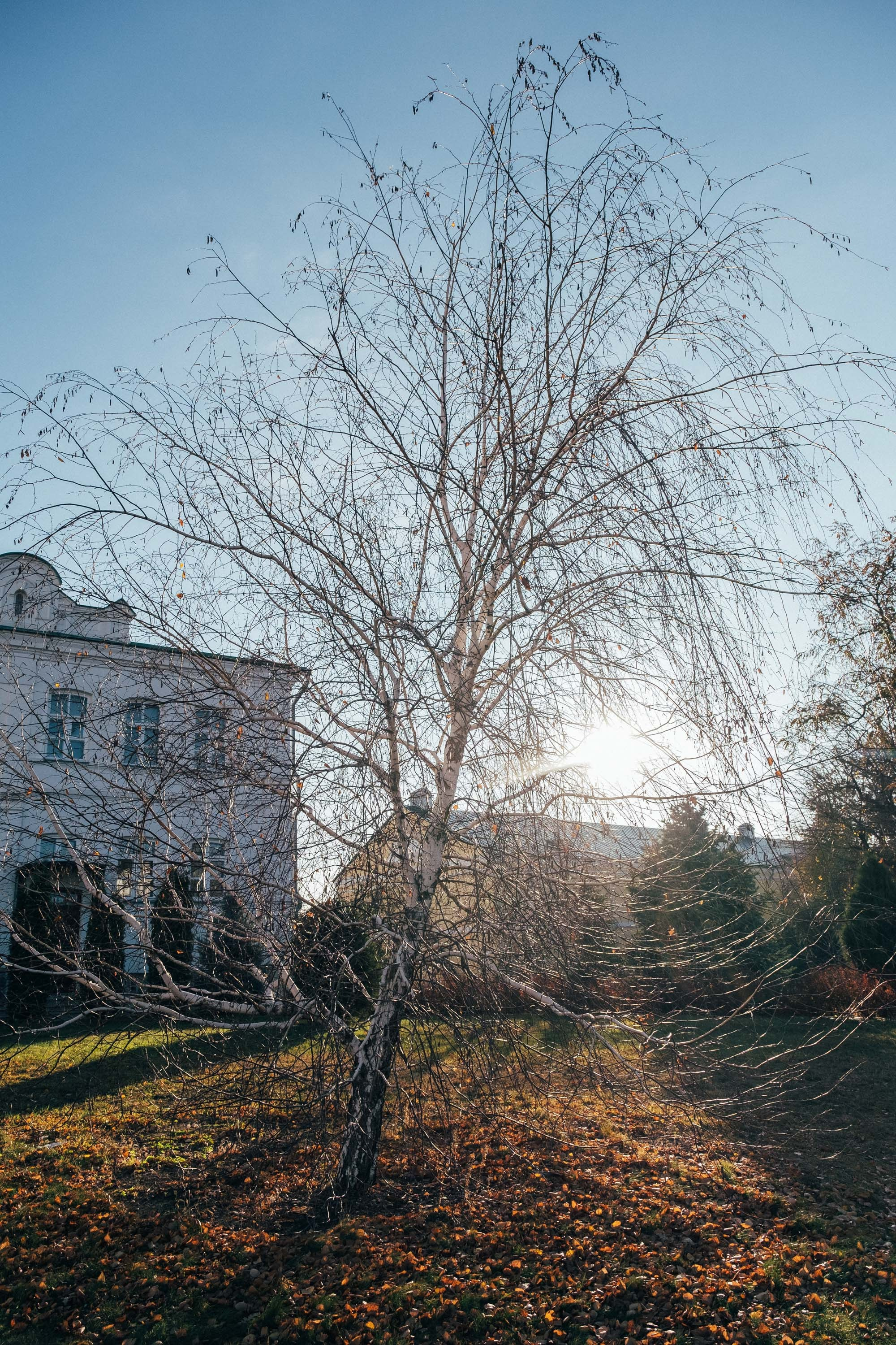 19.11.14. Фотограф Анатолий Деникин