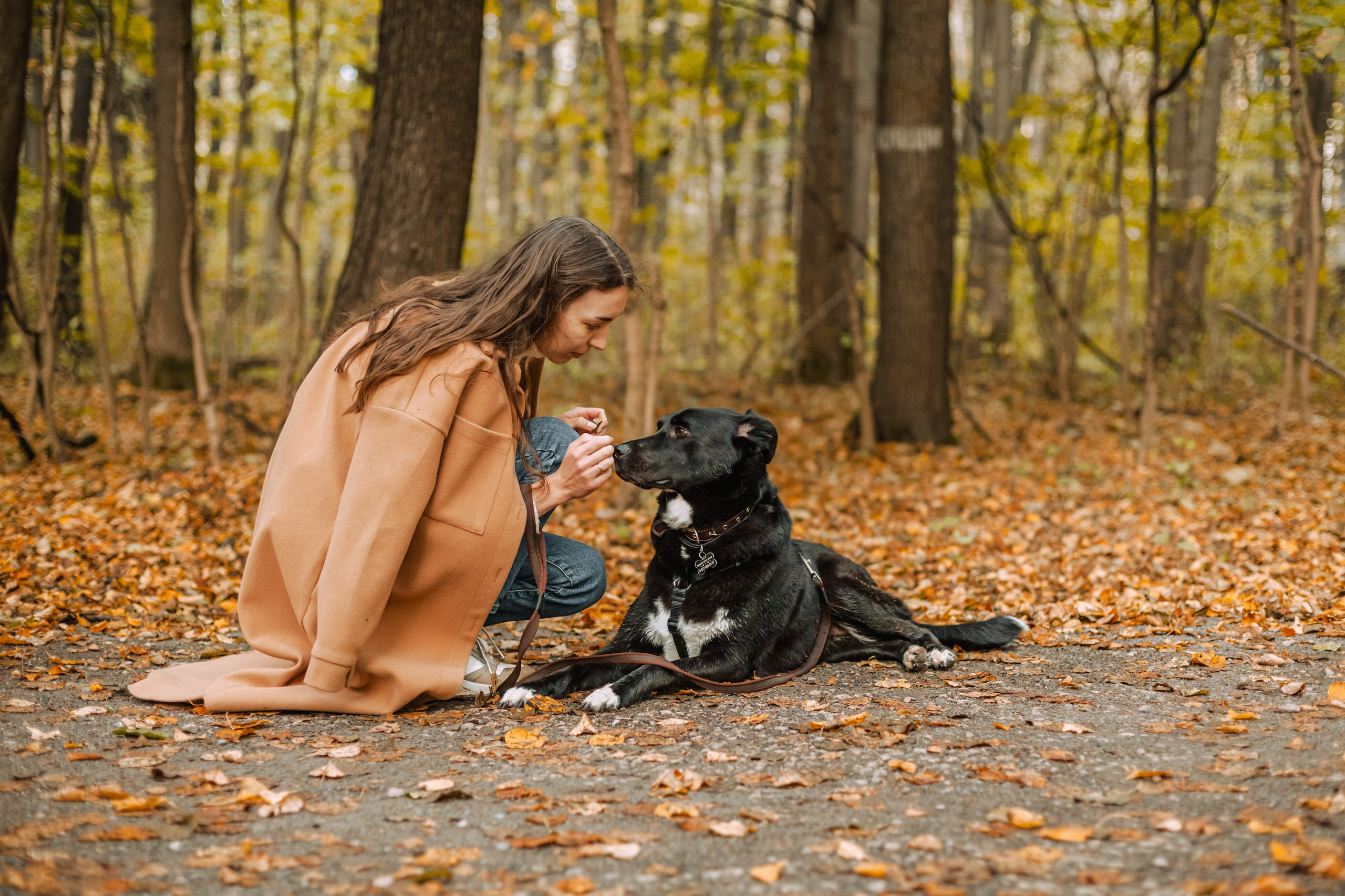 Юля и Фортуна. Фотограф-анималист Татьяна Степанова