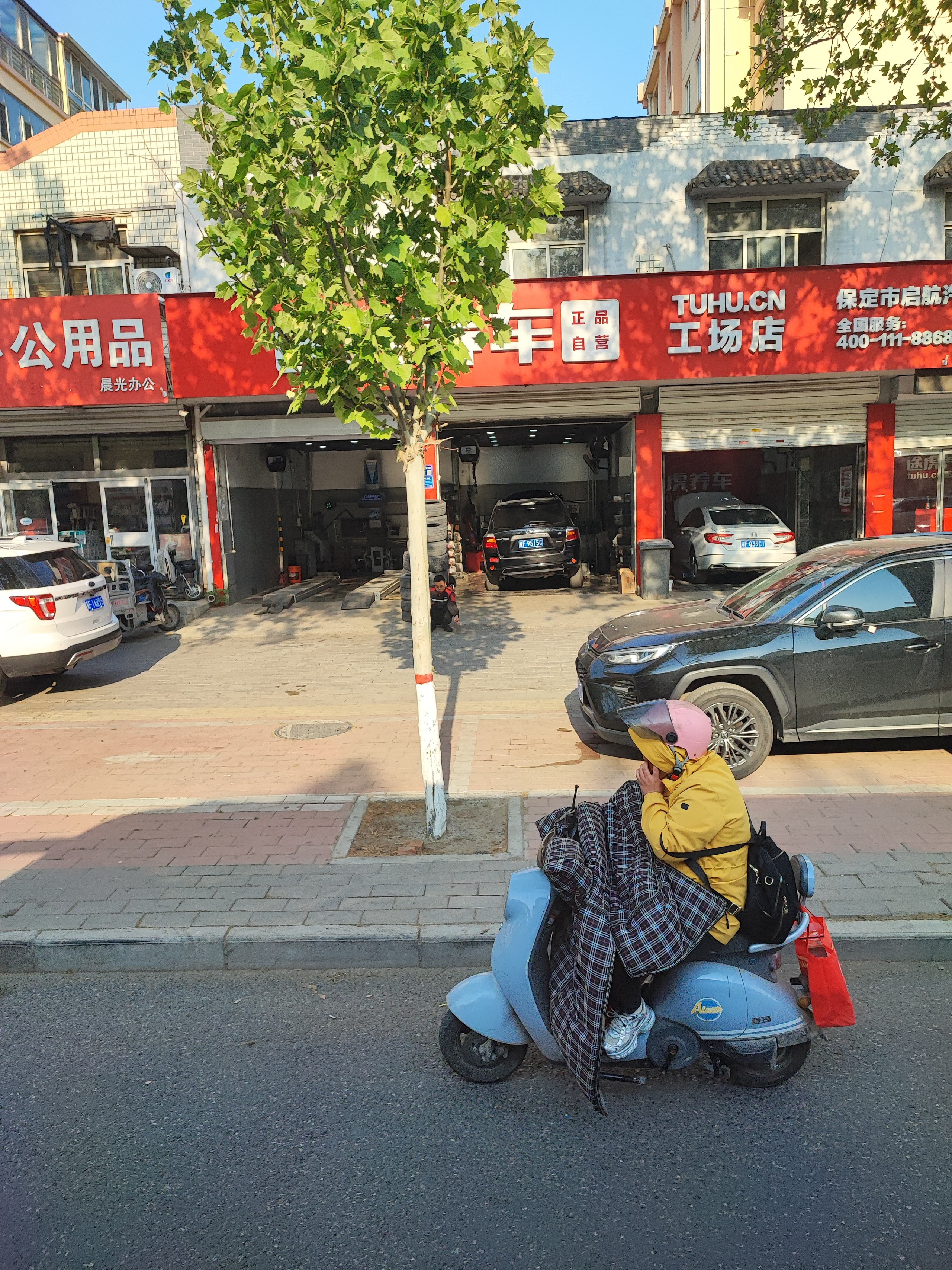 Намобилкус китайский. Репортажный фотограф Алексей Пирязев