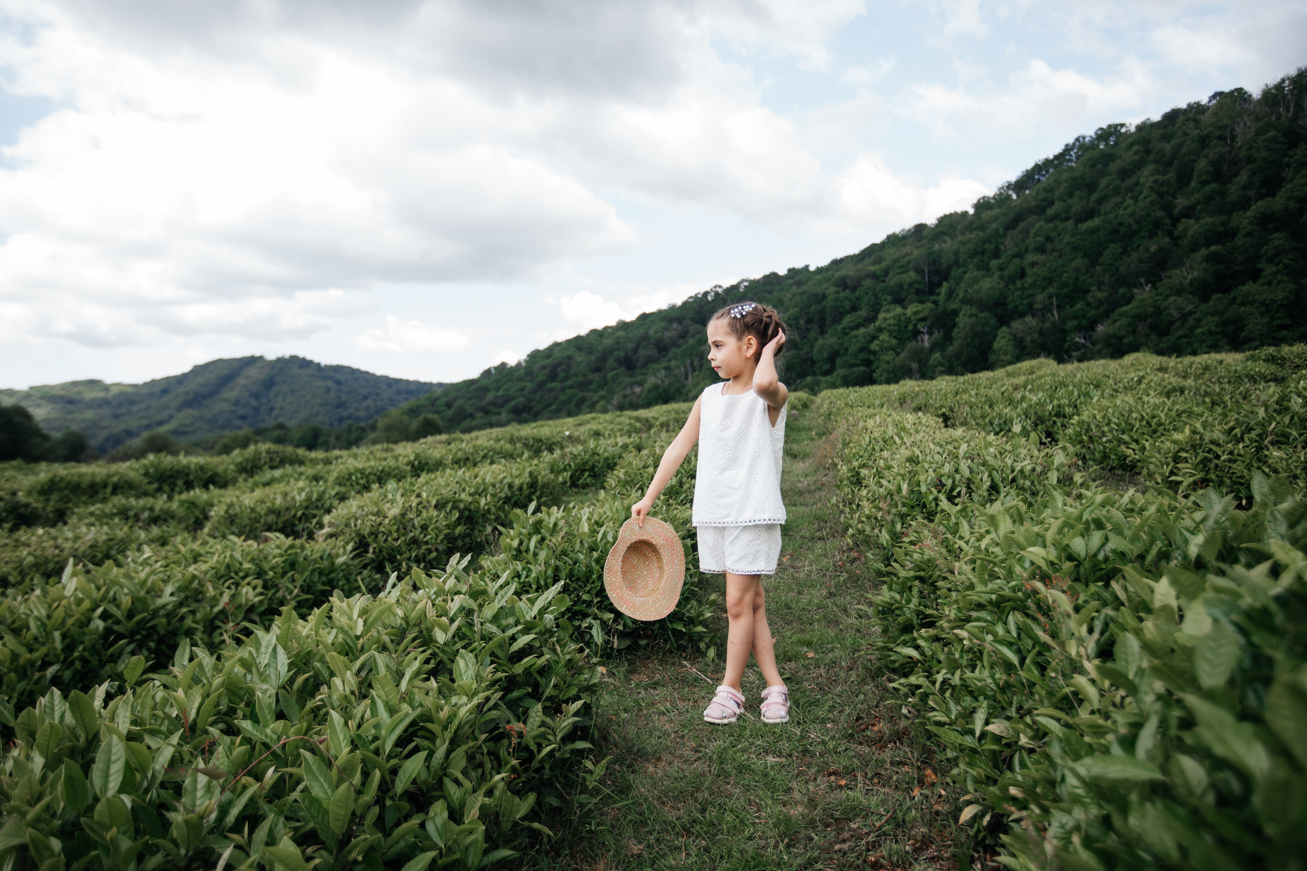 Tea plantation. Efimova Model Agency