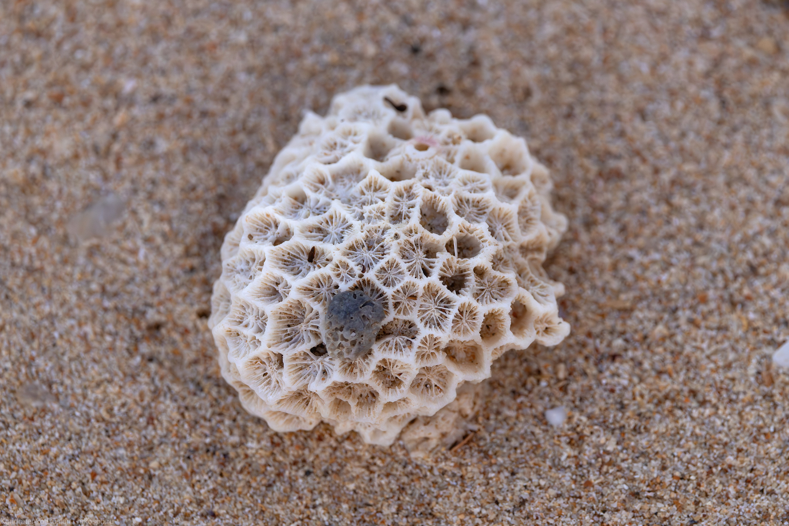 Пхукет. Архитектурный и пейзажный фотограф Кондратенко Руслан, Санкт-Петербург