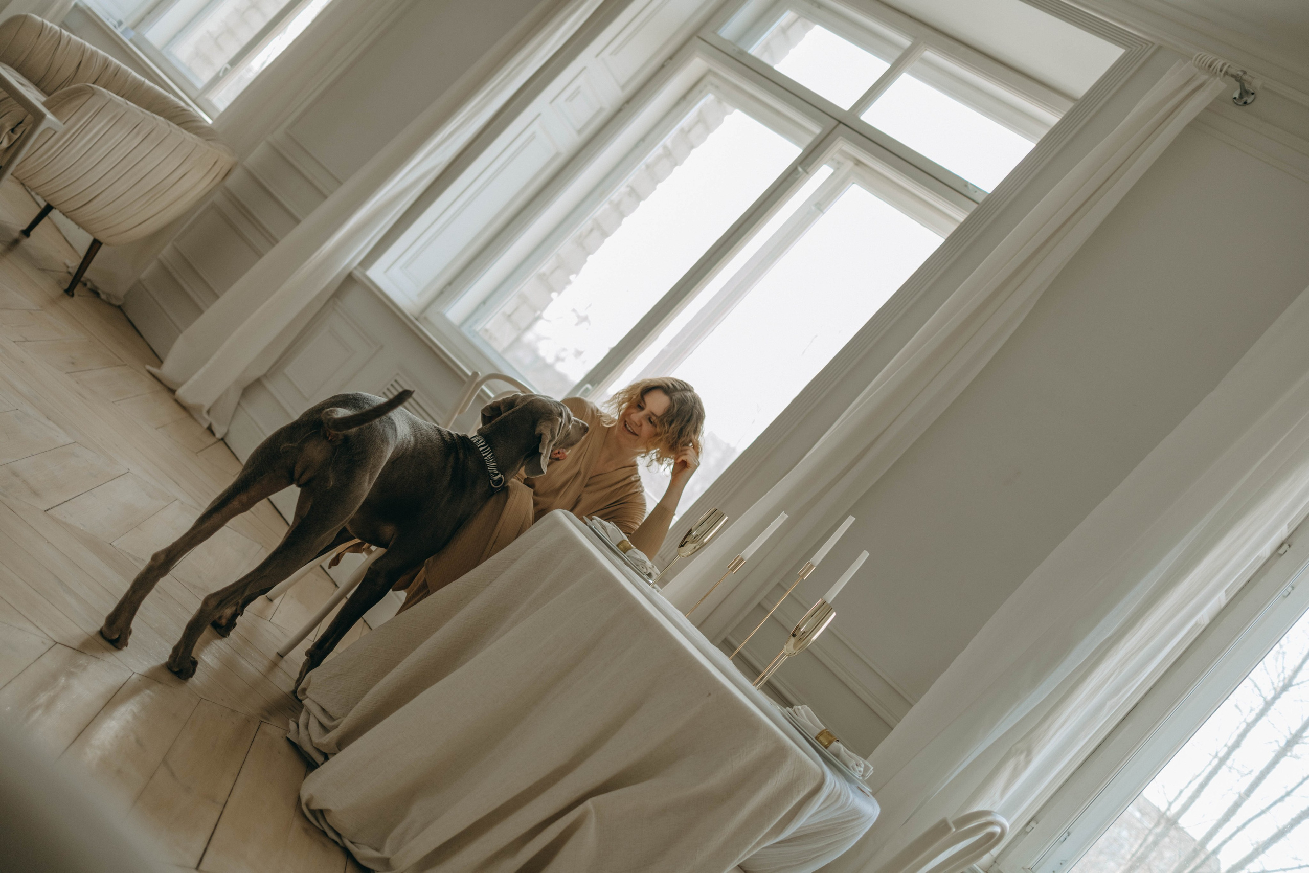 Фотосессия в студии с собакой. Фотограф-анималист в Екатеринбурге | Кристина