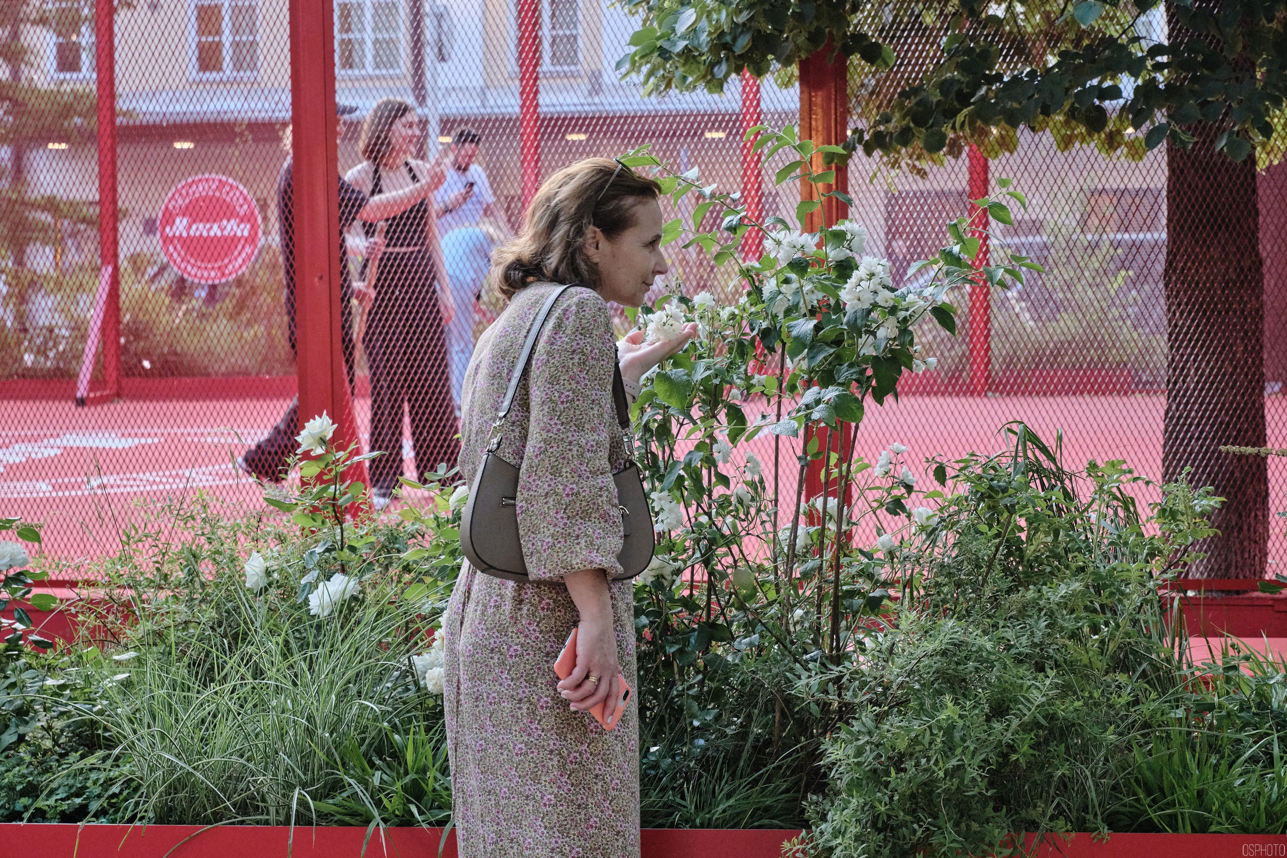 Бульвары для всех l Лето в Москве. Фотографъ Сергѣевъ. Поймать мгновеніе