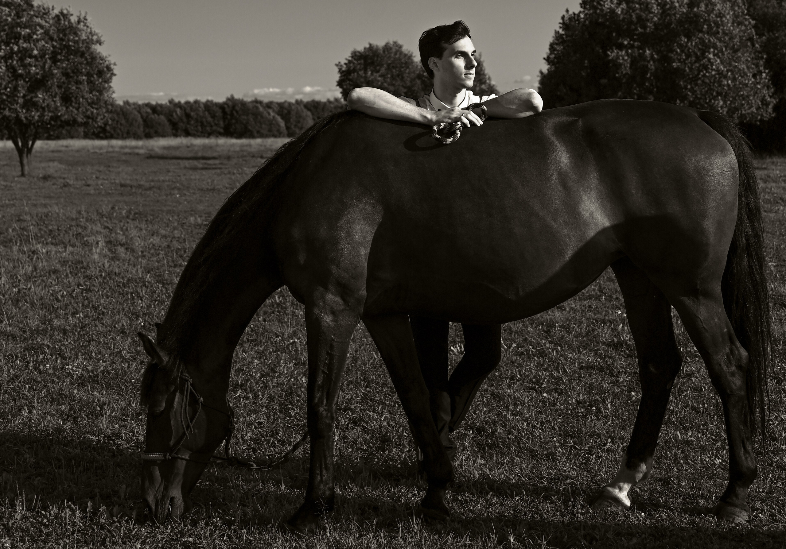 Конные портреты. Фотограф Зноева Ирина (Gvenya)