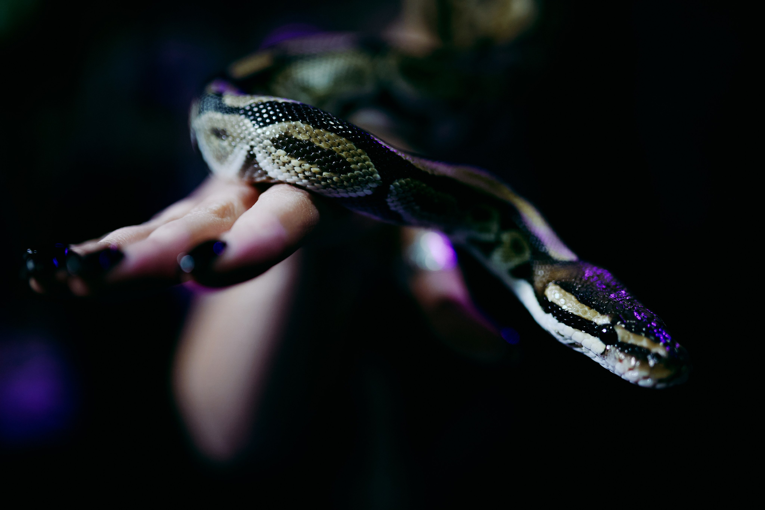 Ivent 2025. Andrey Pospelove. Фотограф в Саратове