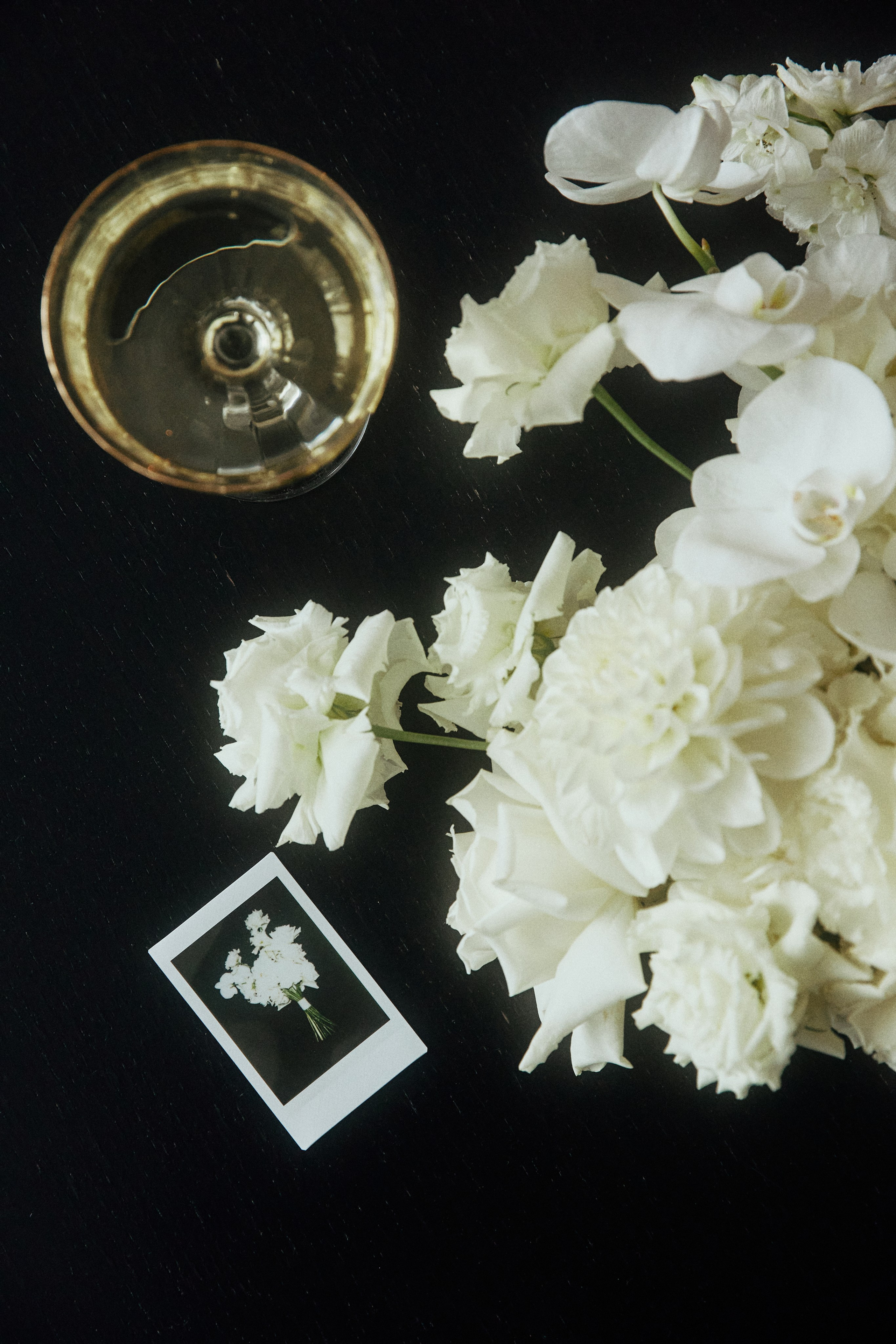 A NEW FAMILY TREE. Дмитрий Мазуркевич: Профессиональный Репортажный Фотограф