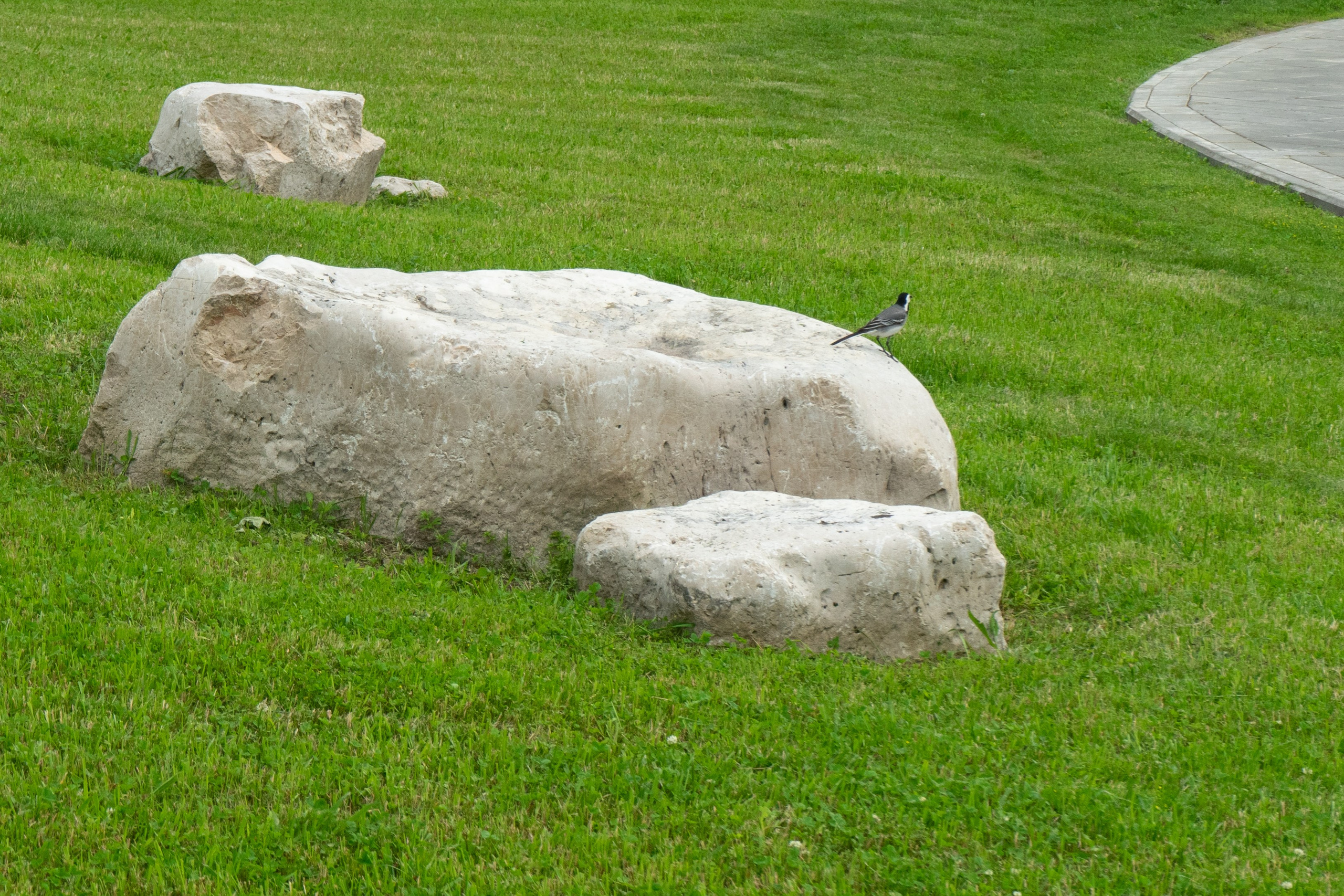 Виды парка Хуамин Москва. Авторские фотографии Чугунова Николая