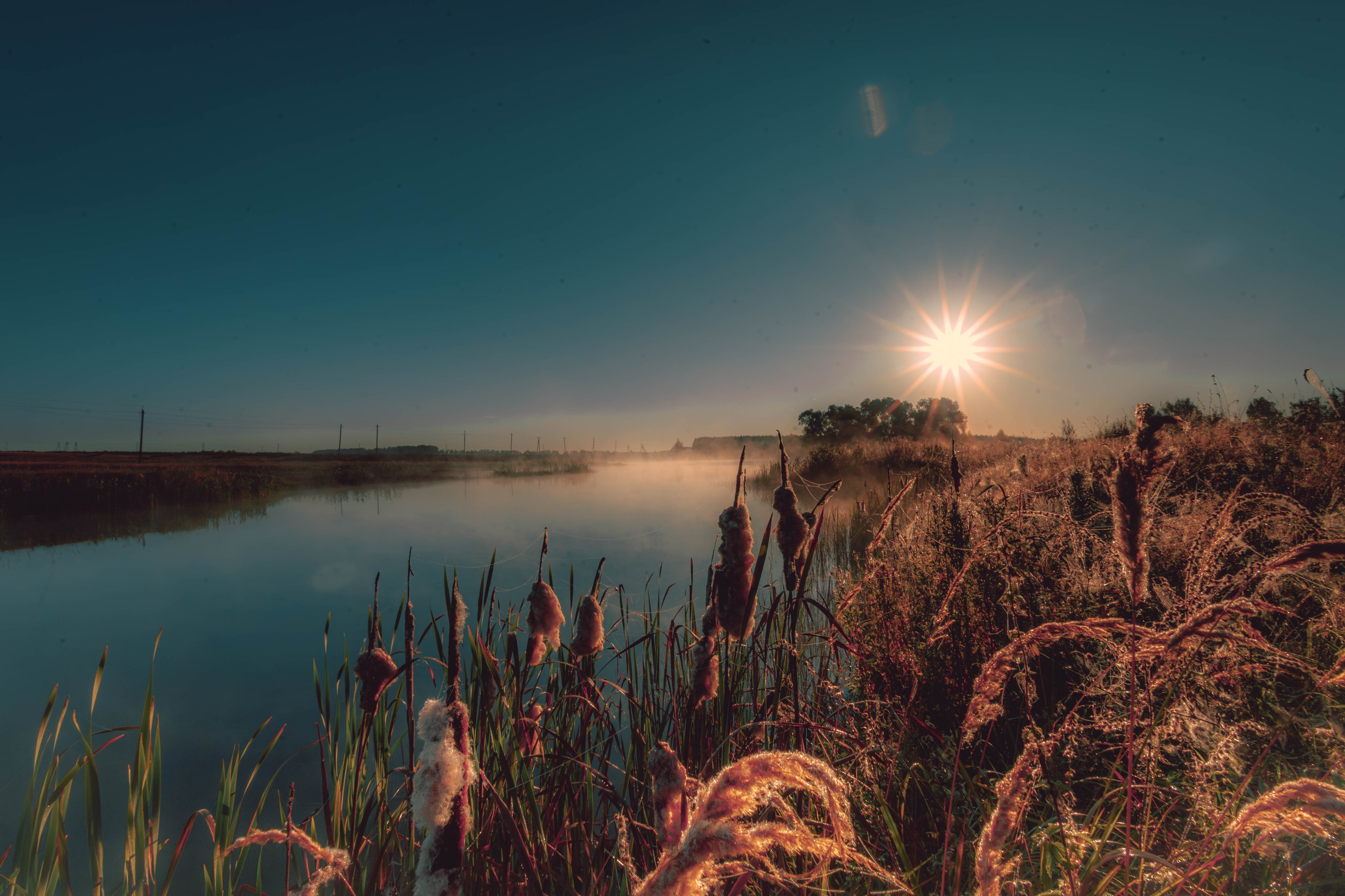 Разное. Фотограф г. Чебоксары Николай Фадеев