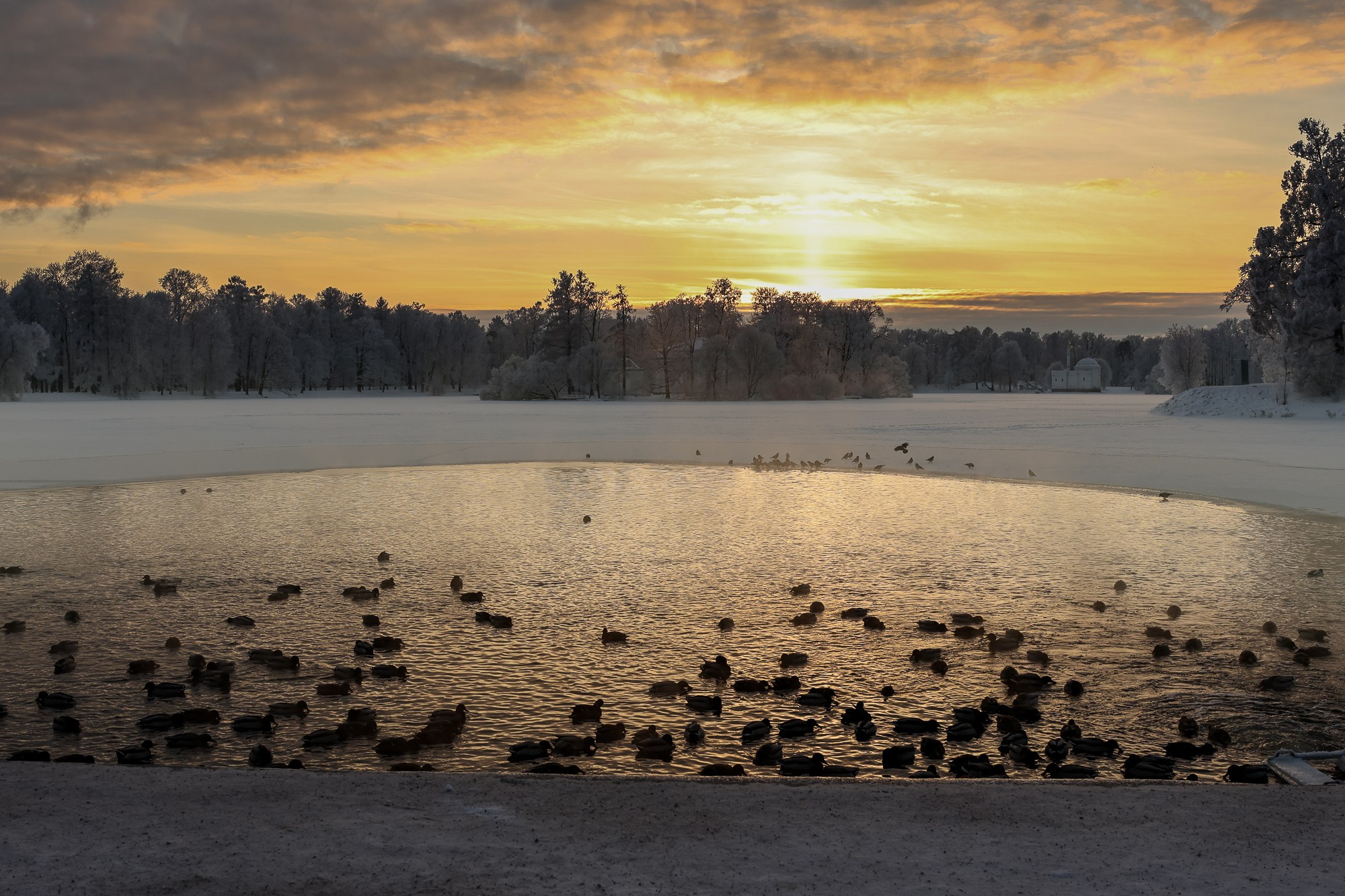 Царское село. Зима. Фотограф портретист в Санкт Петербурге Дроздова Алла