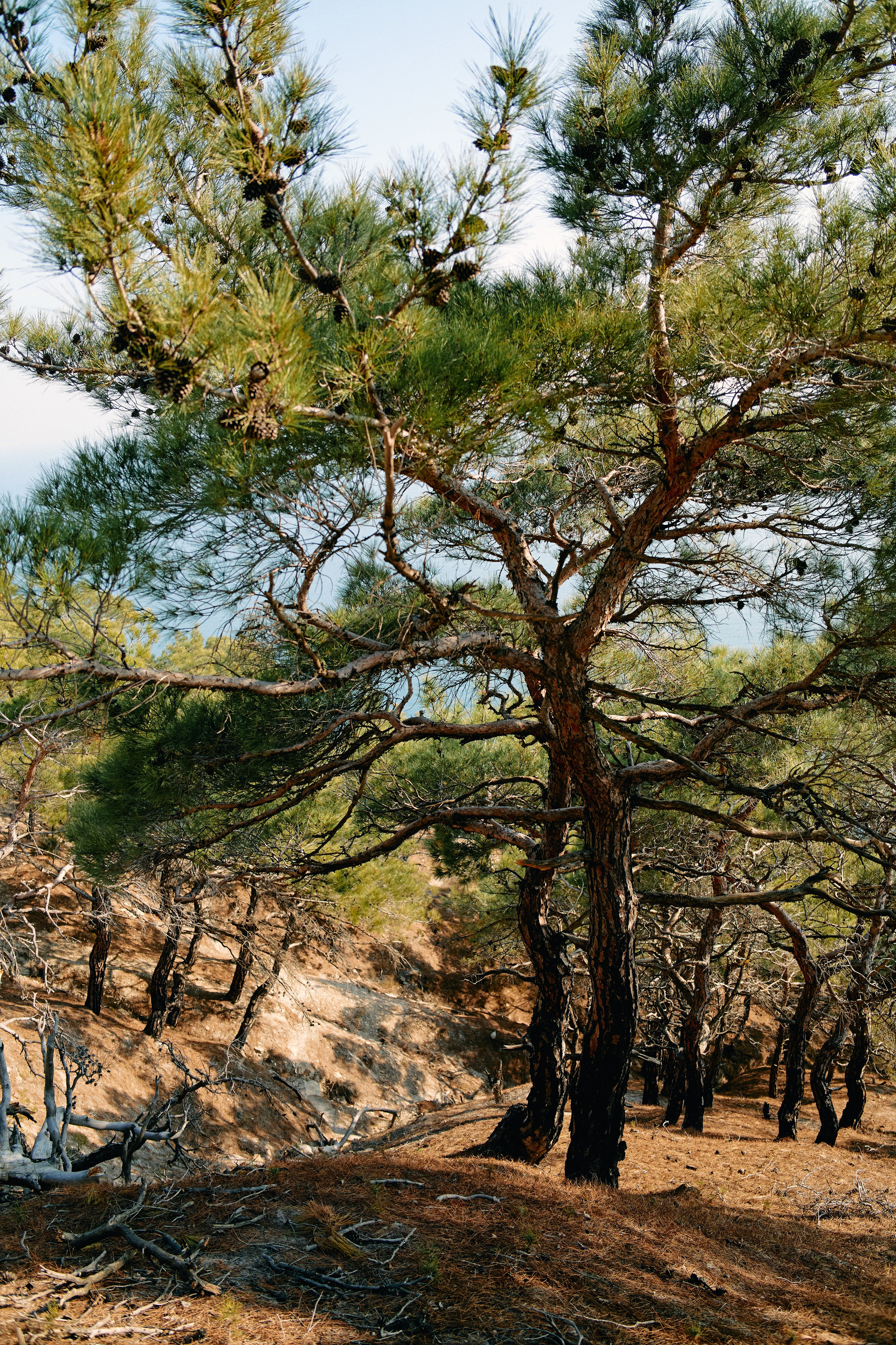 Юг России. Профессиональный Фотограф во Владимире, в Москве и в Суздале — Полина Романычева