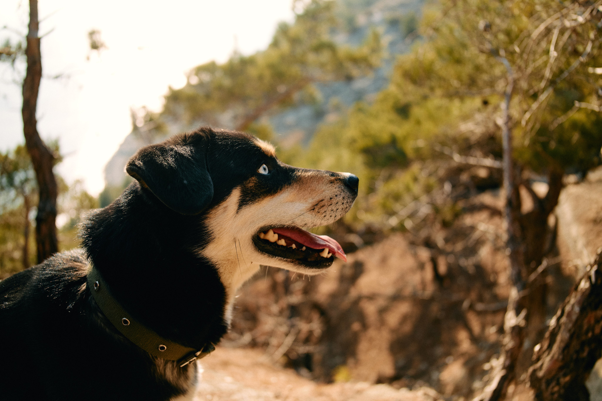 Юг России. Профессиональный Фотограф во Владимире, в Москве и в Суздале — Полина Романычева