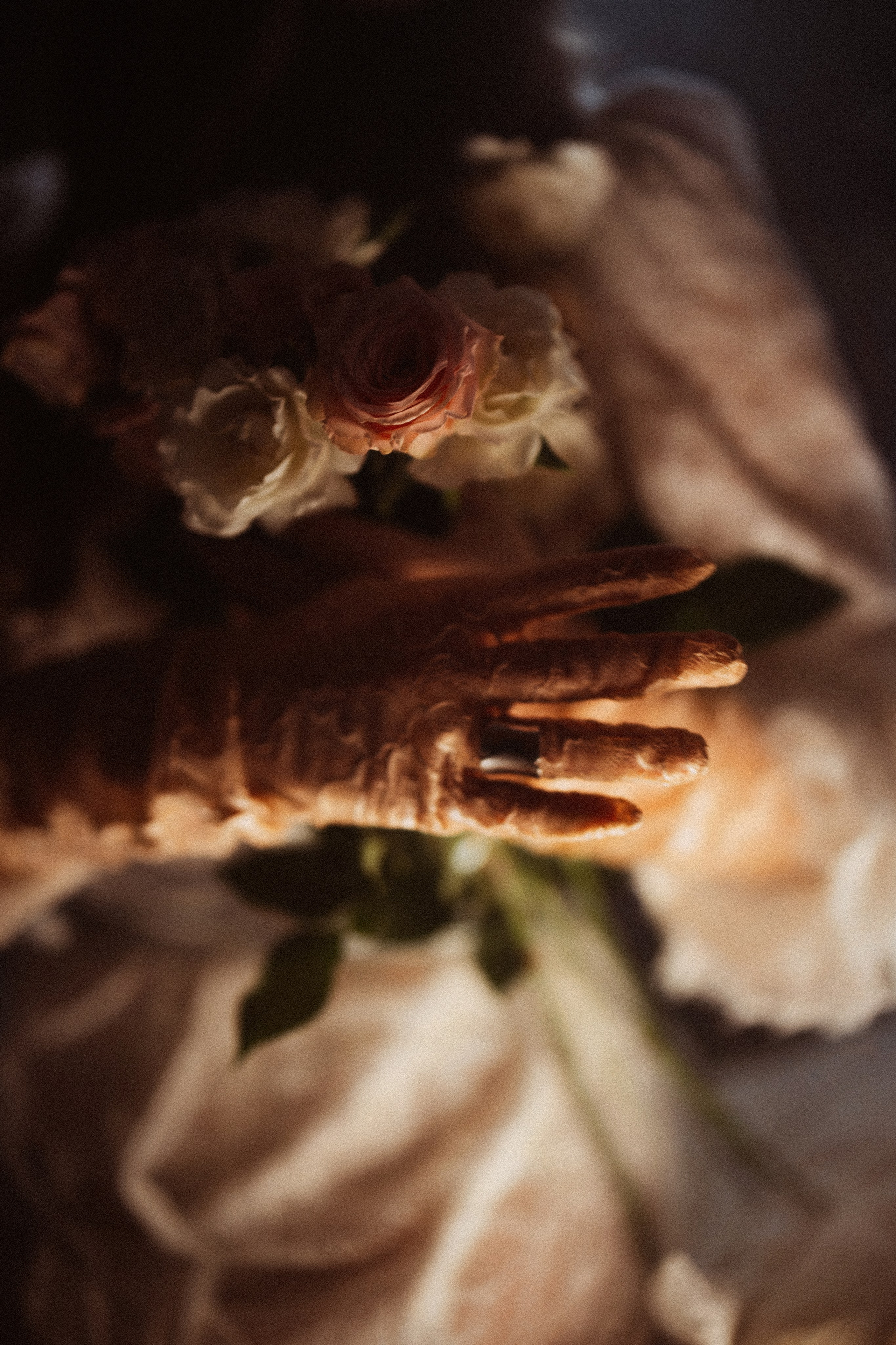 Мои работы цвет. Фотограф Алексей Гарьковенко