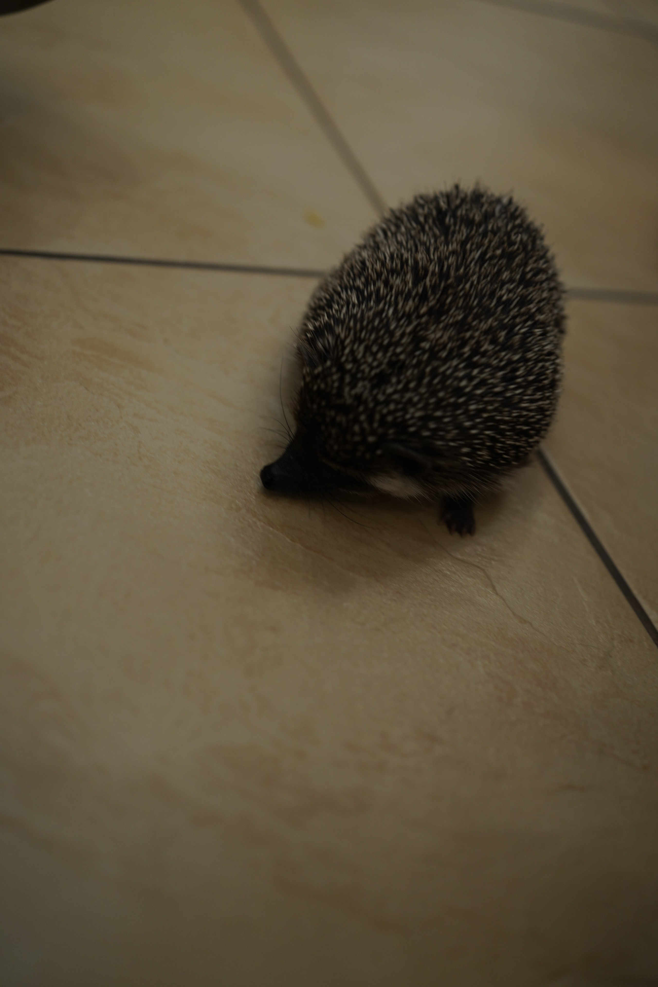 НГ 2020. Заставка