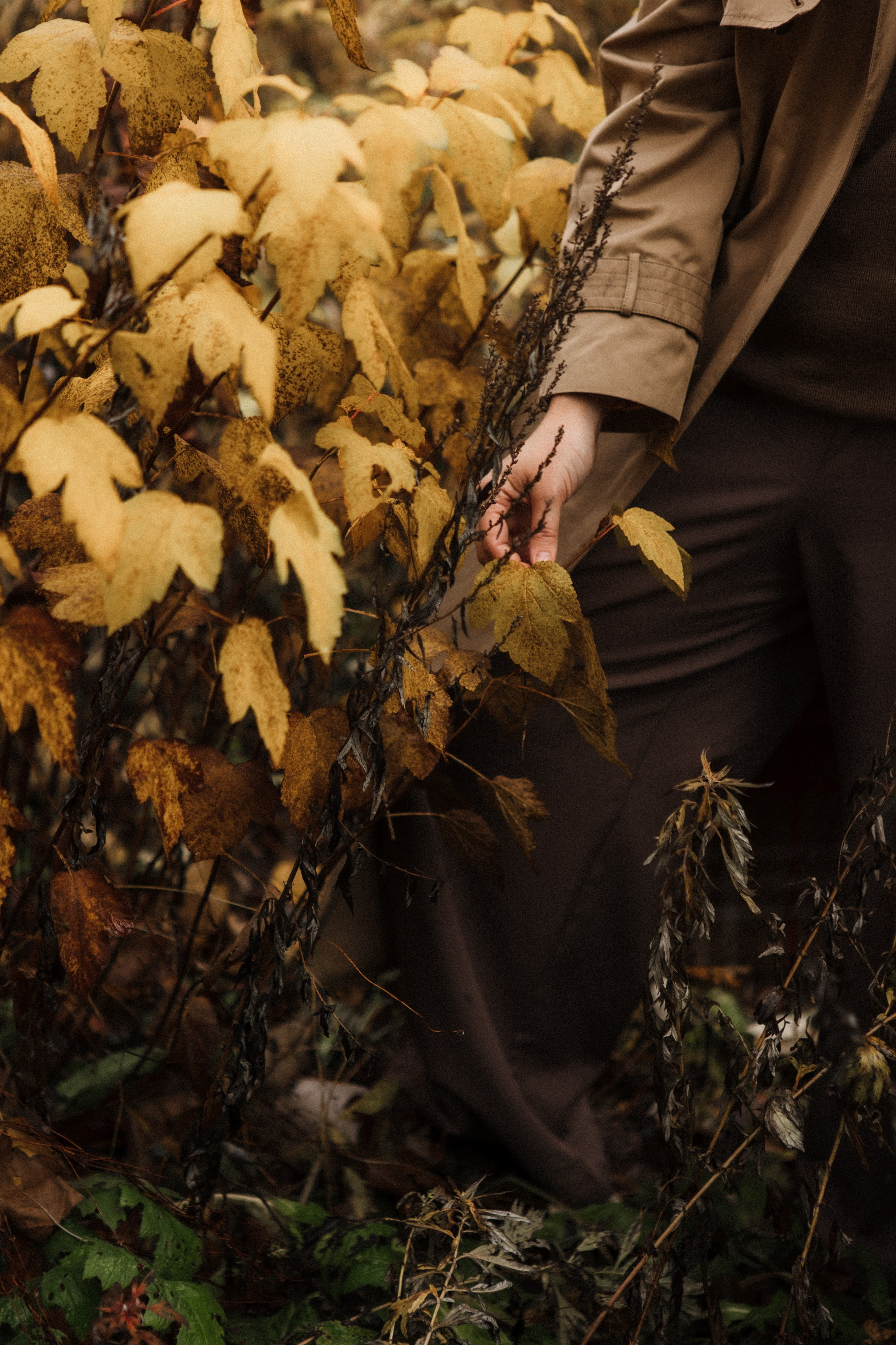 Ирина. Фотограф Москва и Московская область