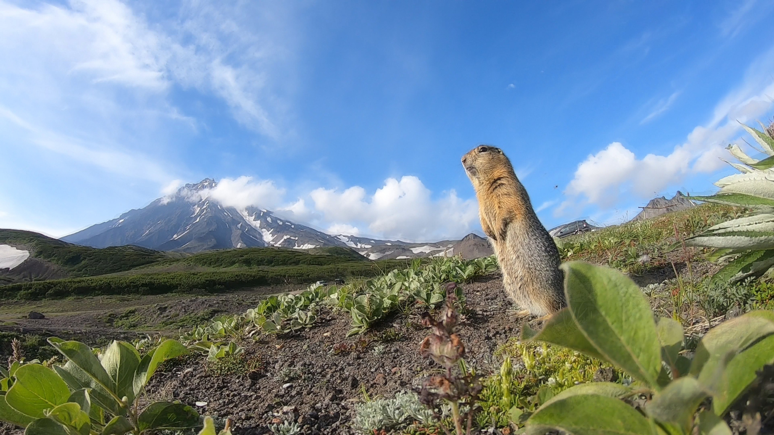 Природа. Людмила Москвичёва — Фотограф на все случаи жизни.Камчатка/Владивосток