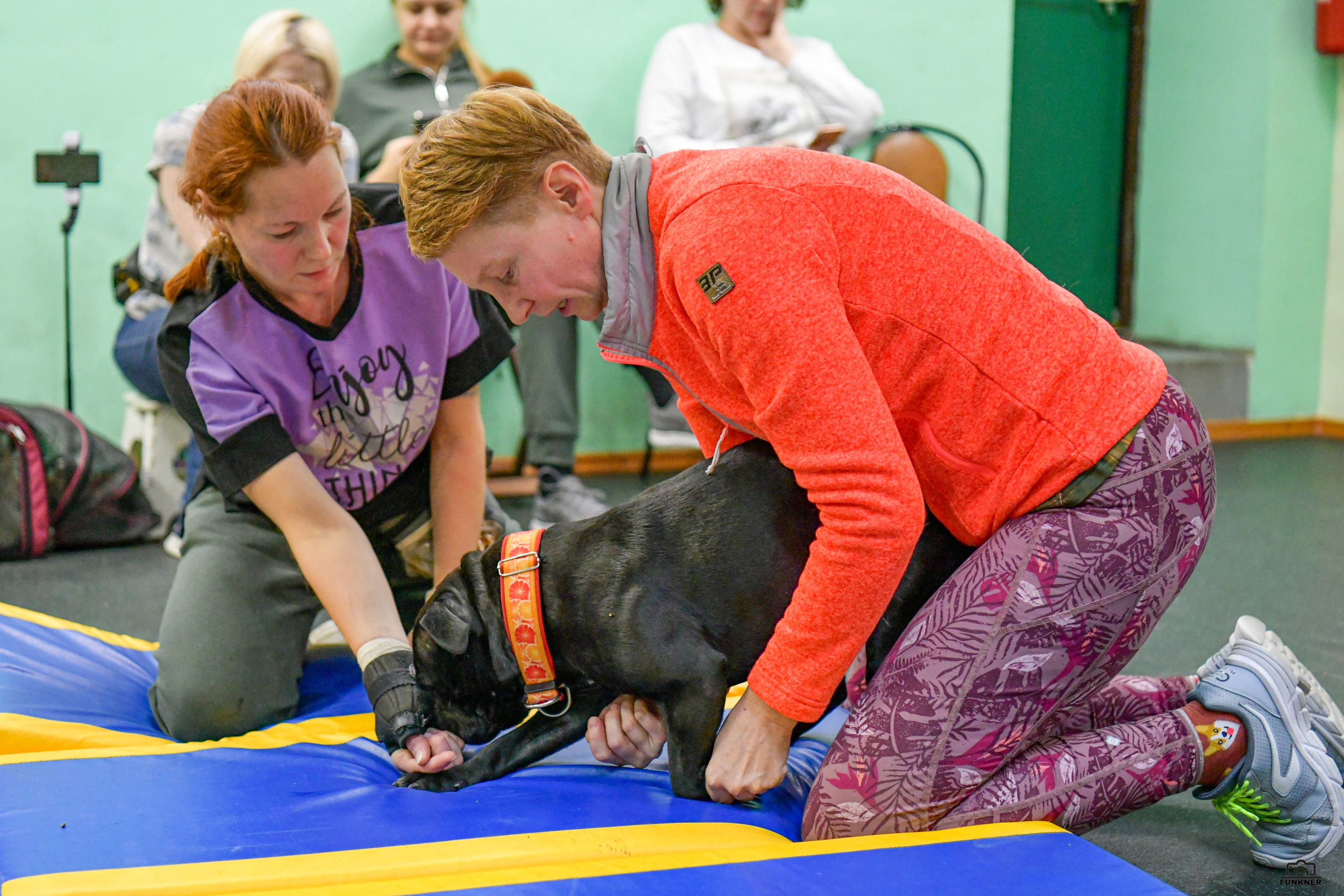 Кинологический клуб «Бодрый хвост». Свой взгляд через объектив