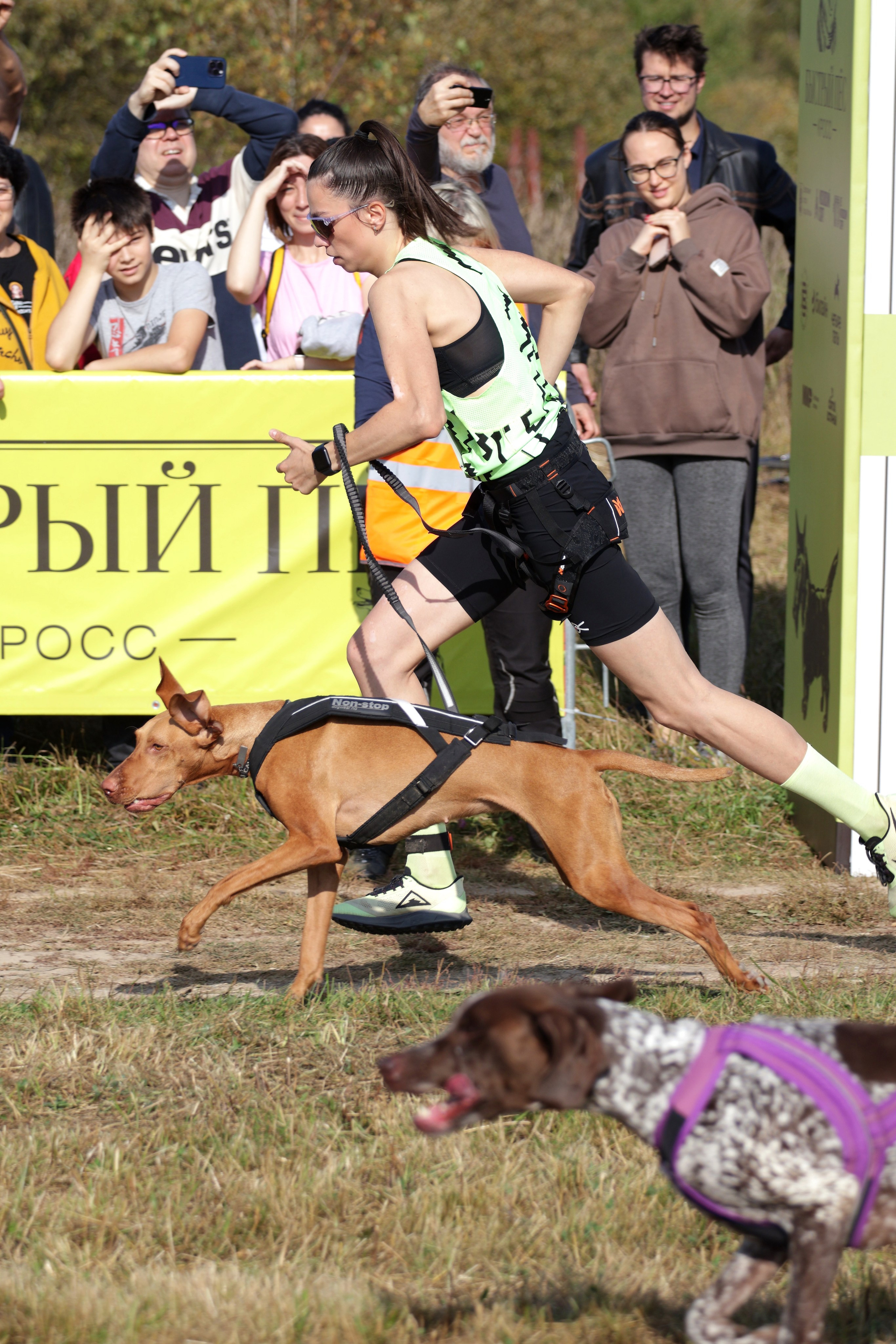 Спорт с животными. Спортивный и репортажный фотограф Ермакова Светлана