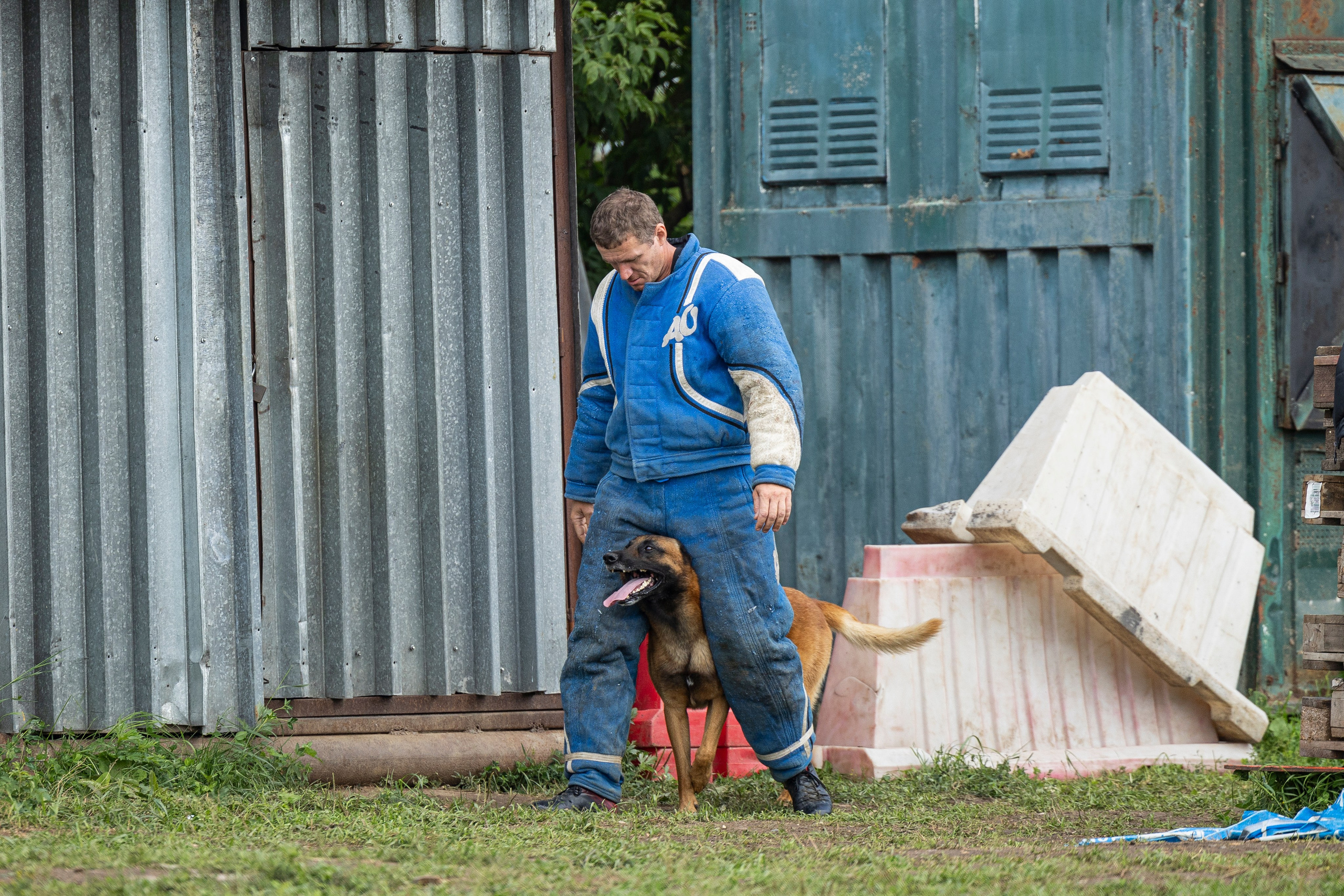 Соревнования по Мондьорингу г. Вологда 10-11.08.2024. Фотограф-анималист Анна Маринич