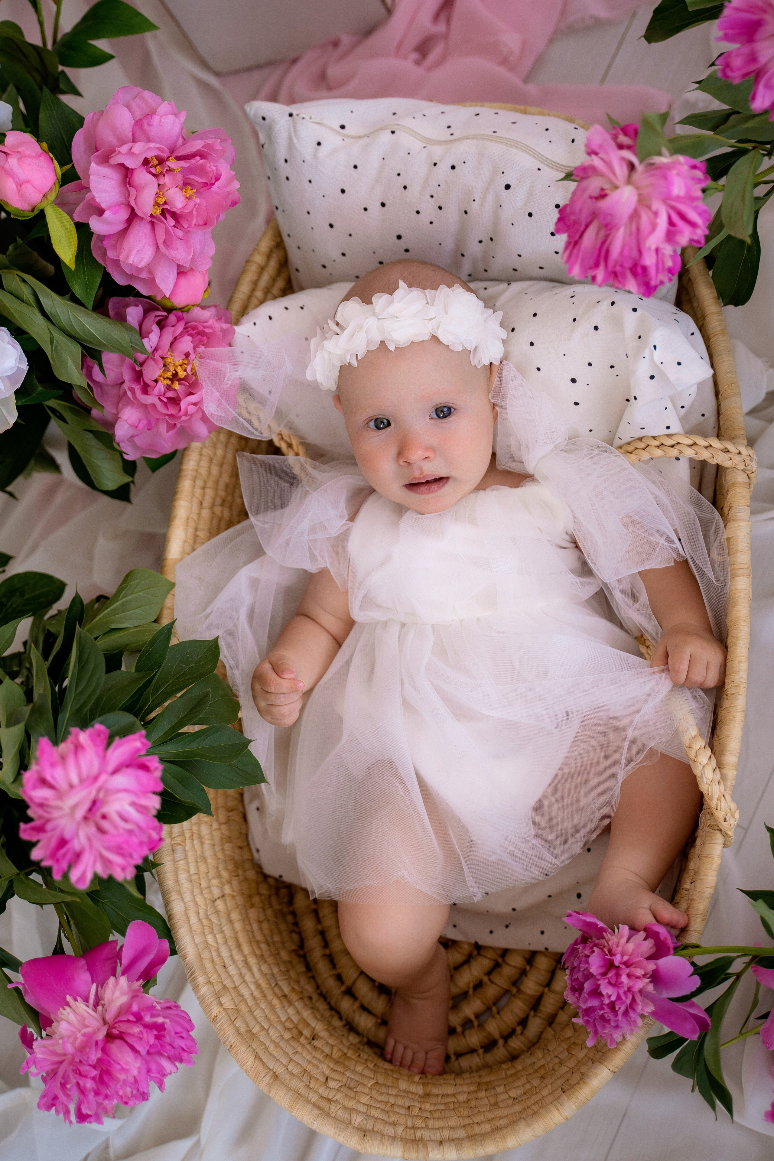 Пионы. Фотостудия Малина в городе Улан-Удэ. Фотограф Ирина Жарникова