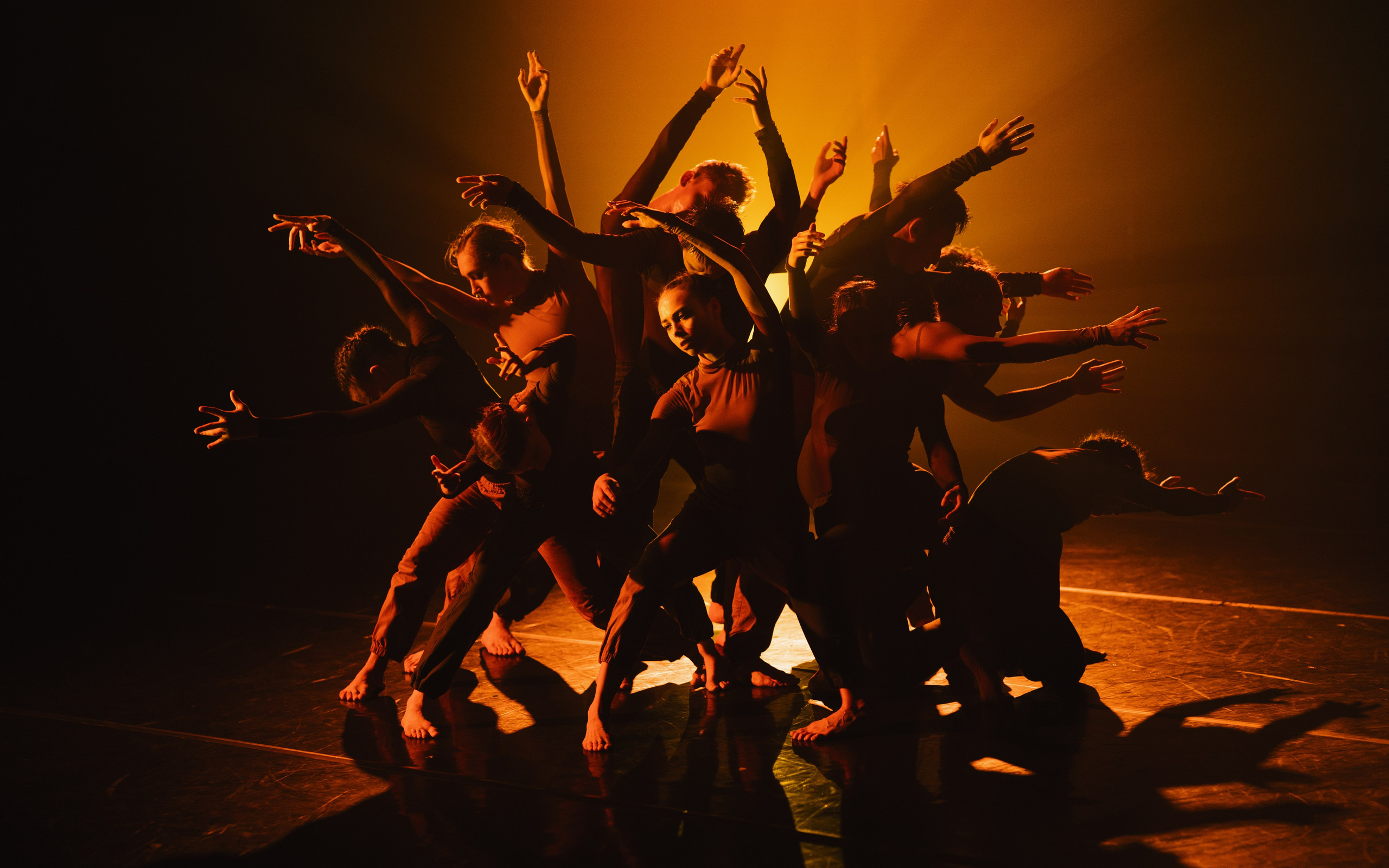 Kannon Dance: «Черный сад» 2023