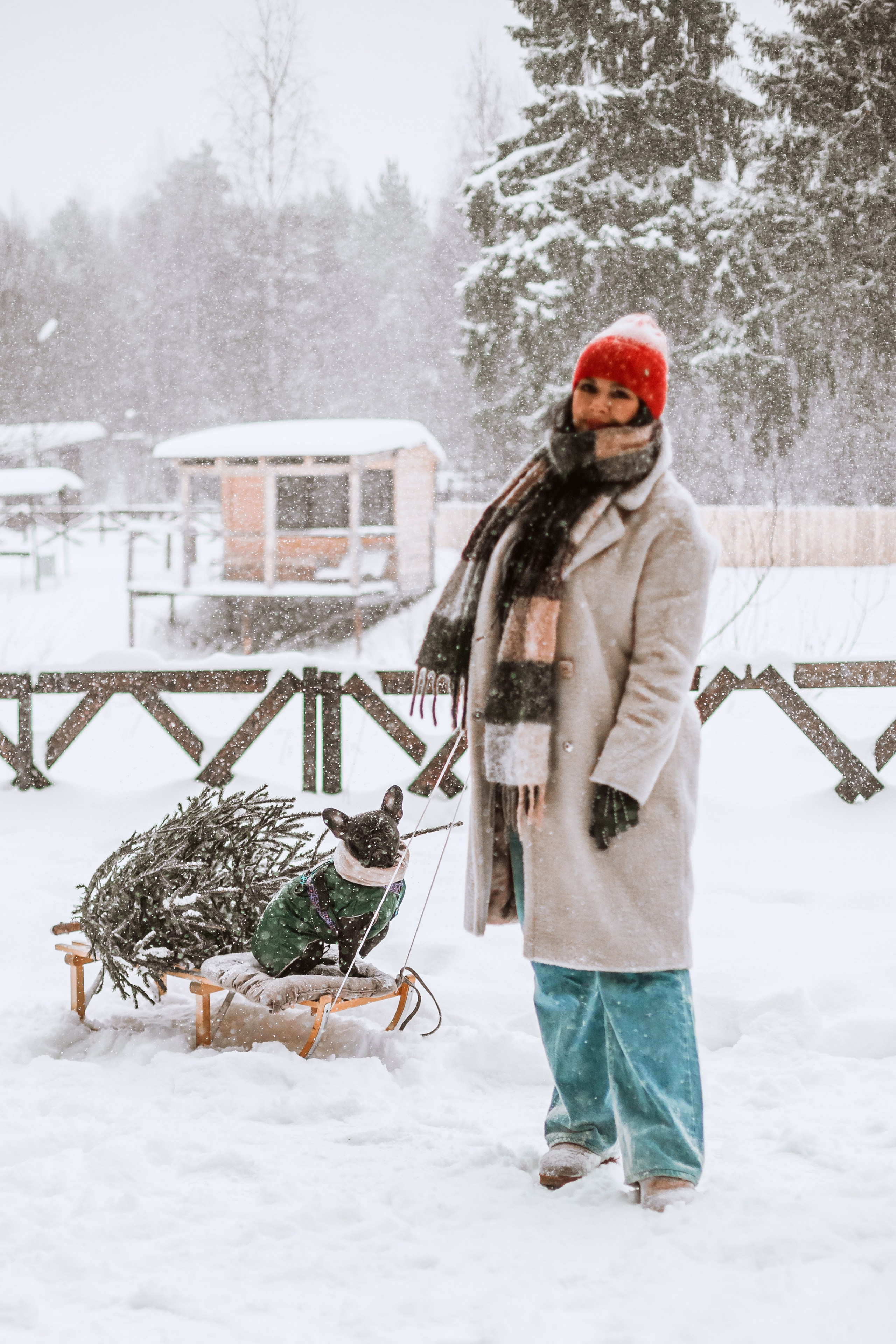 Кантри Хаус. Фотограф-анималист Татьяна Степанова