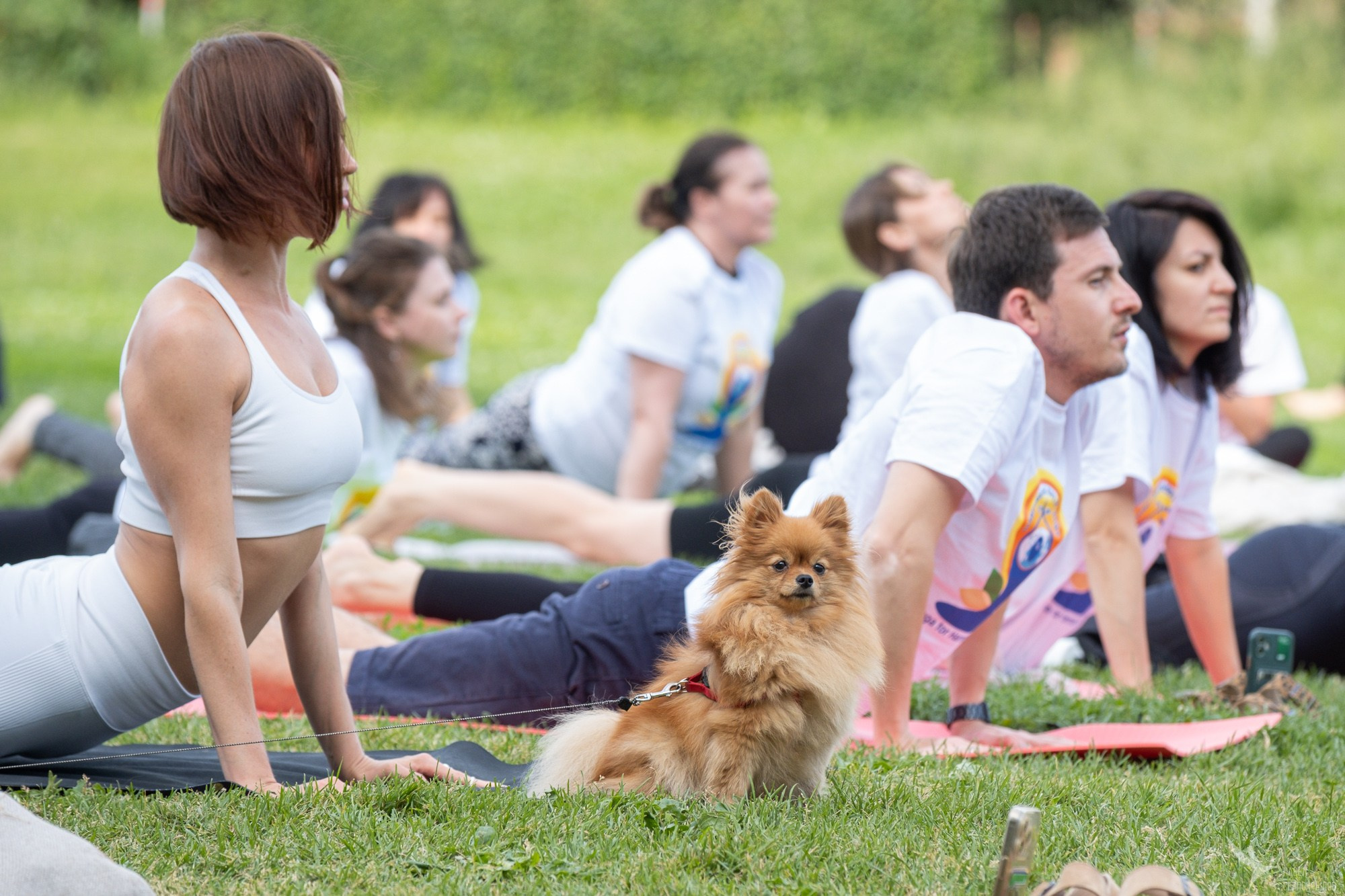 Международный день йоги в парке Горького. Репортажный фотограф в Казани Павел Серпокрылов