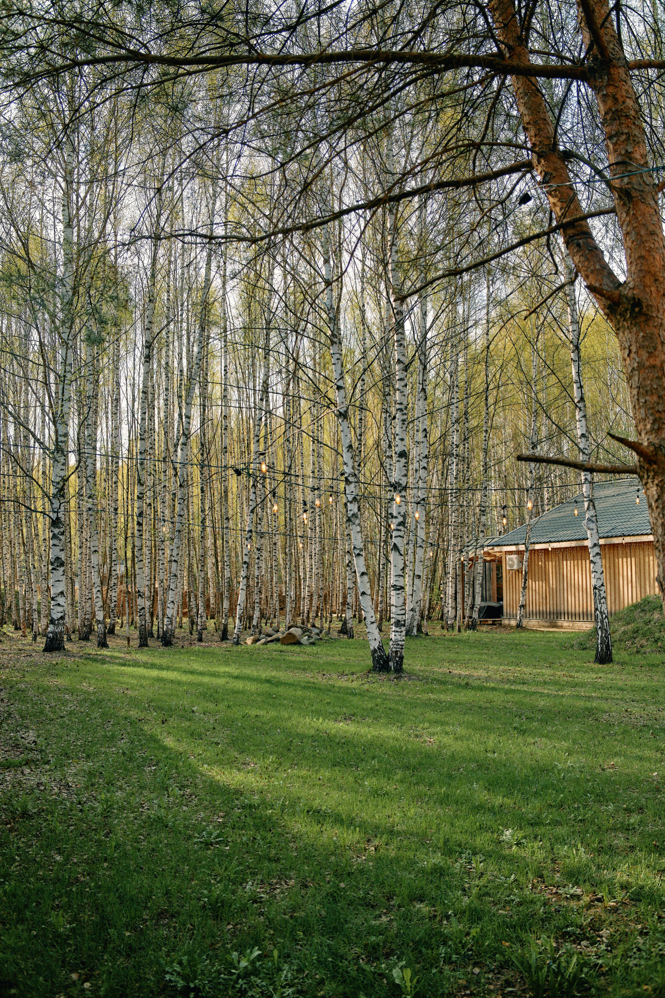 Бутик-отель Поле летом. Профессиональный Фотограф во Владимире, в Москве и в Суздале — Полина Романычева