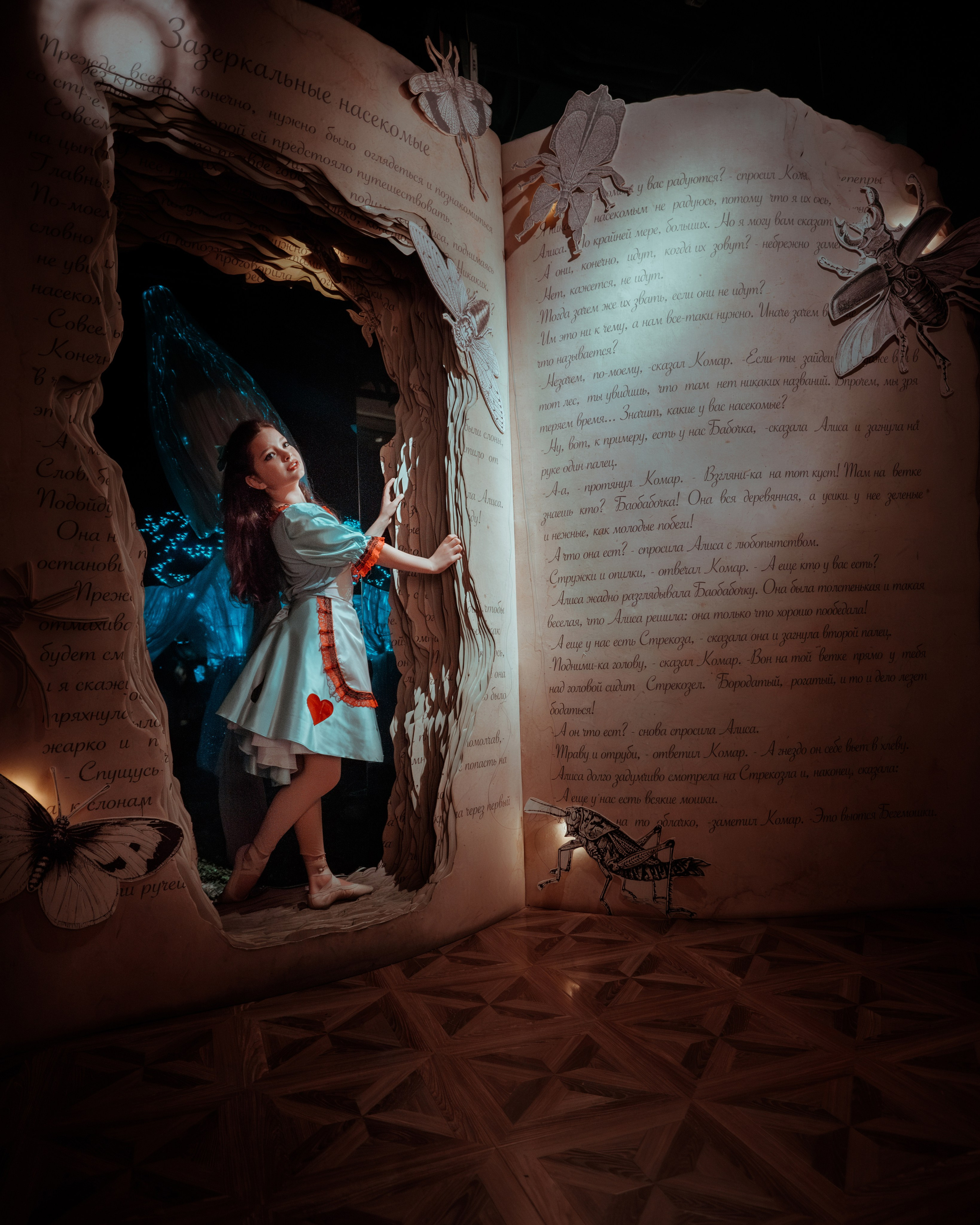 ALICE IN THE WONDERLAND. Светлана Ламм