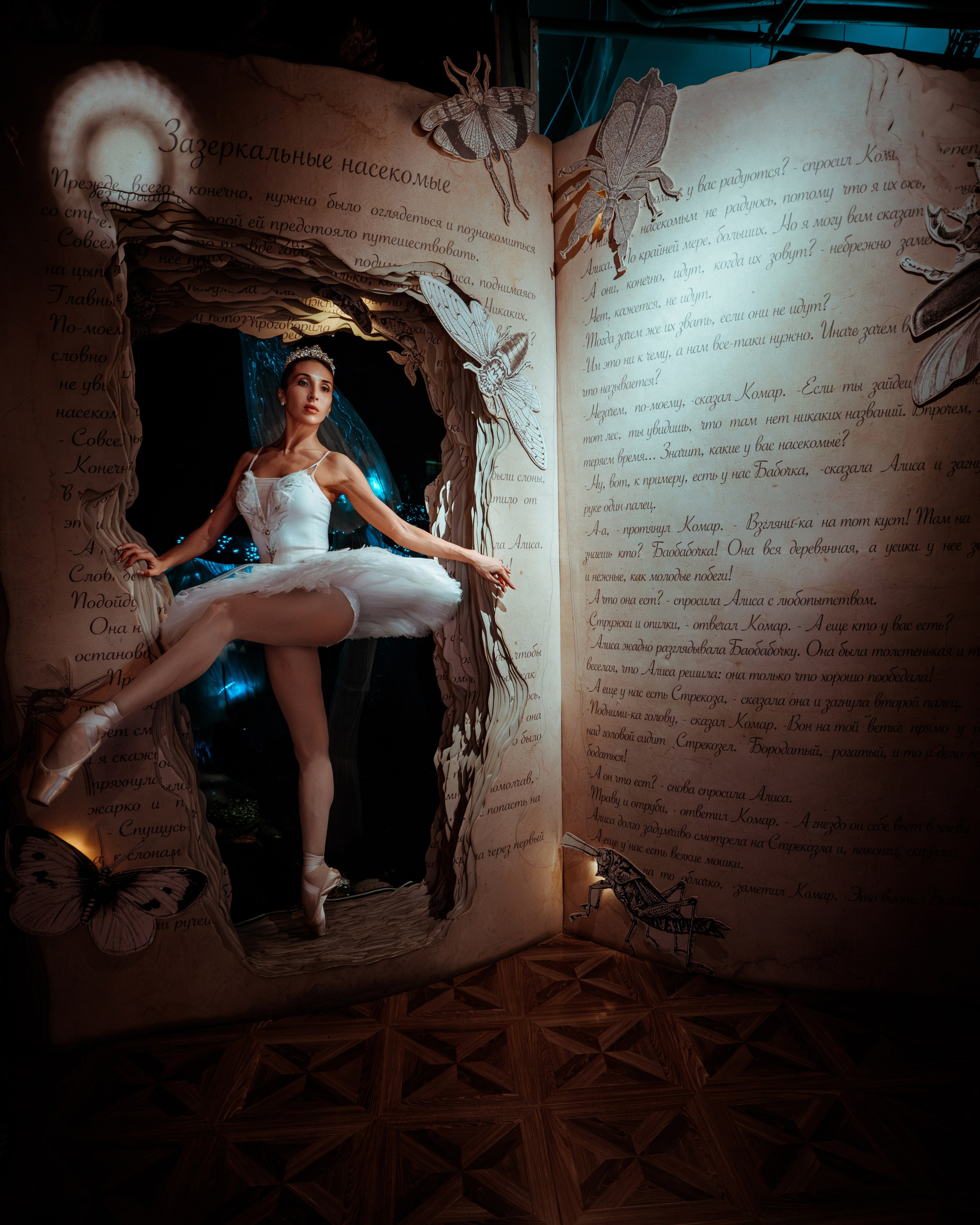 ALICE IN THE WONDERLAND. Светлана Ламм