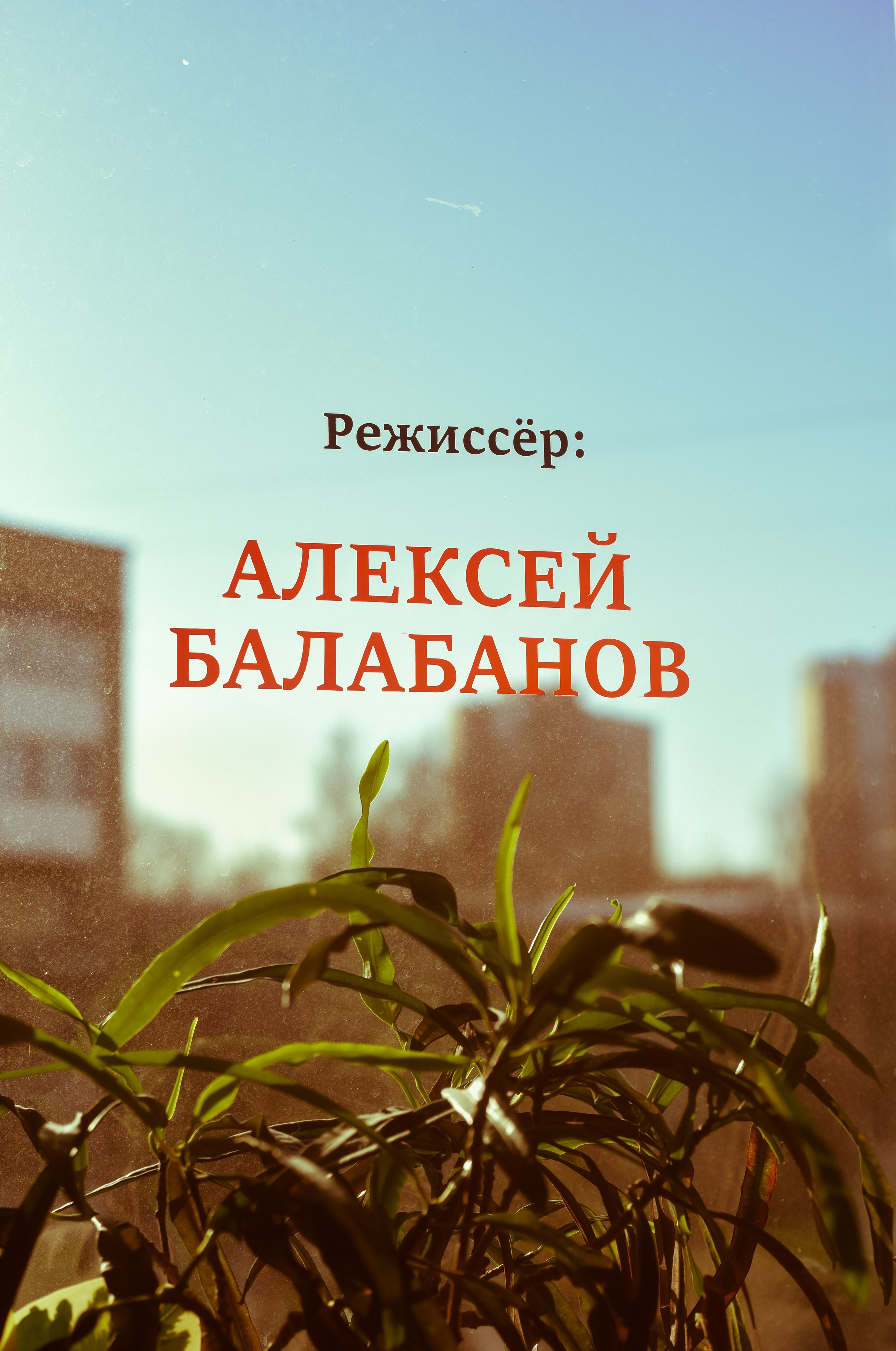 Квартира 99. Детский и семейный фотограф в Новосибирске Саша Дорошенко