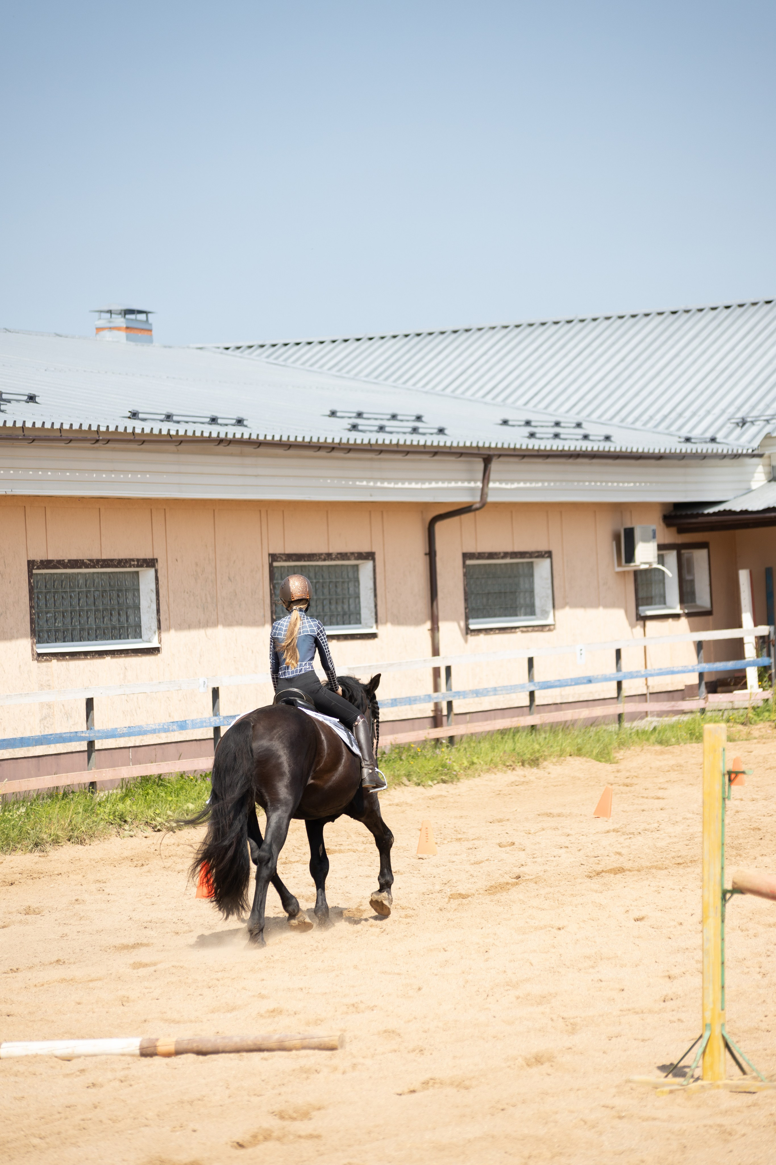 Конюшня. Фотограф в Москве и Истре