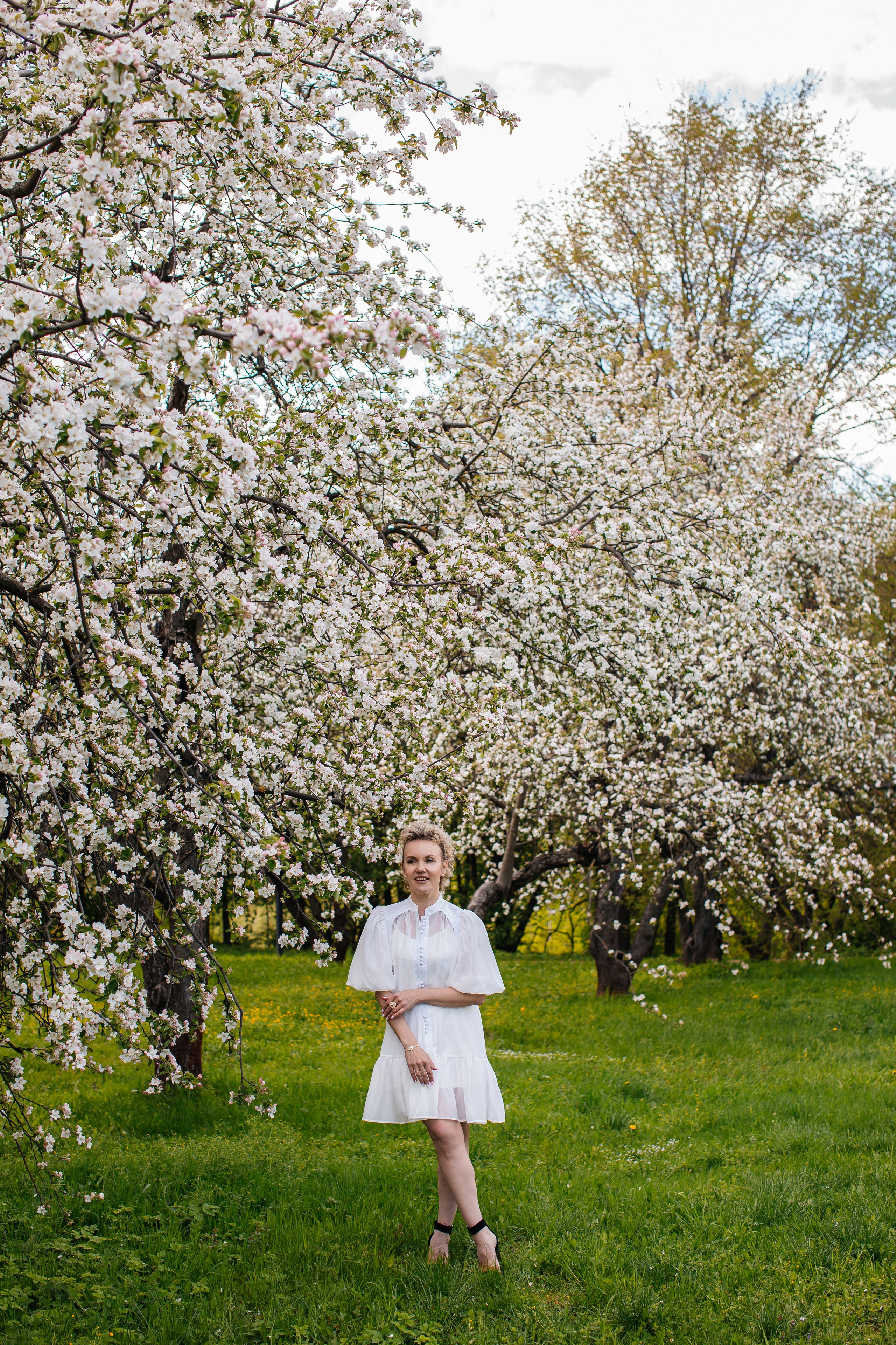 Цветение. Анастасия Давыдова