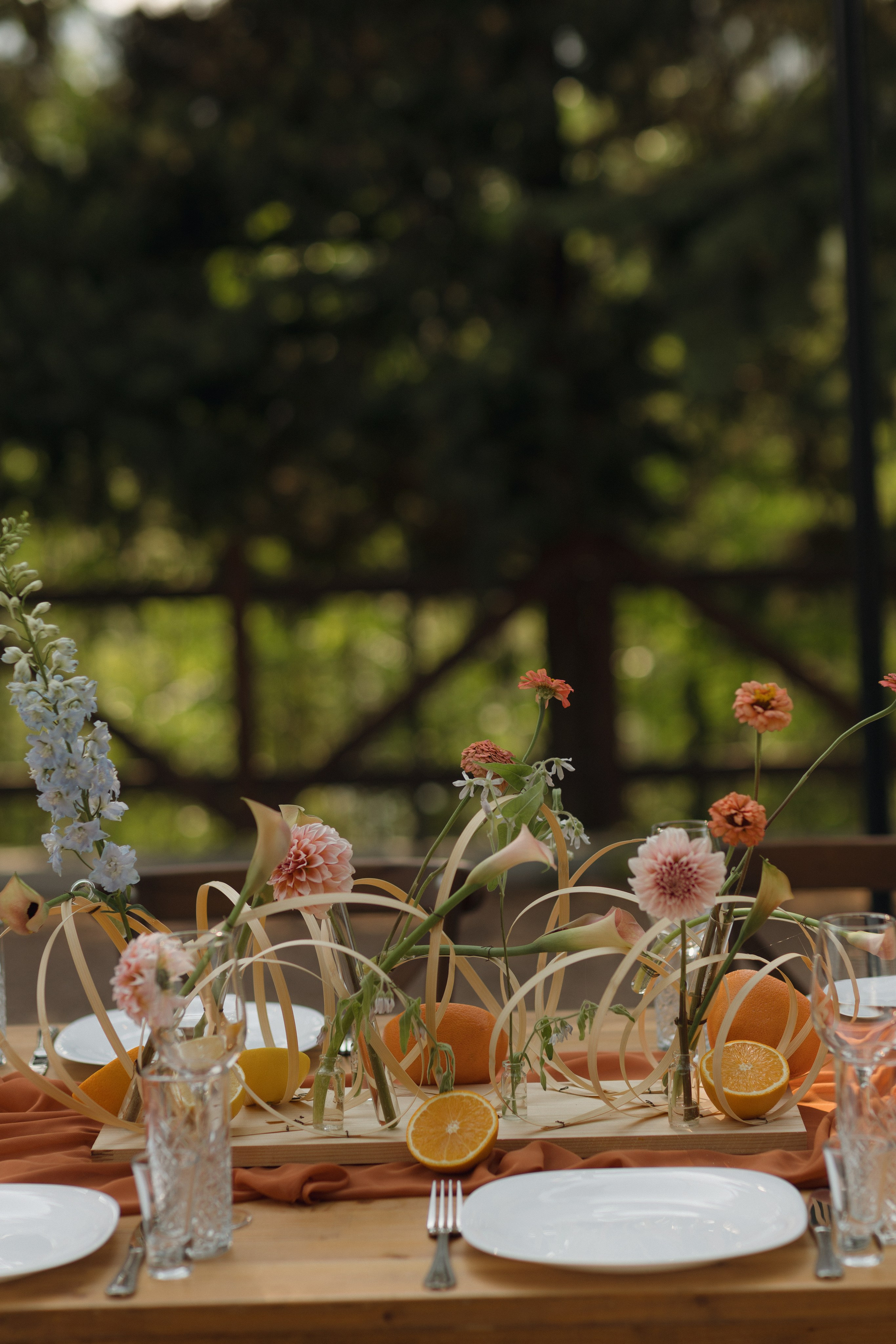 Диана и Никита. Огранизация свадьбы в Крыму