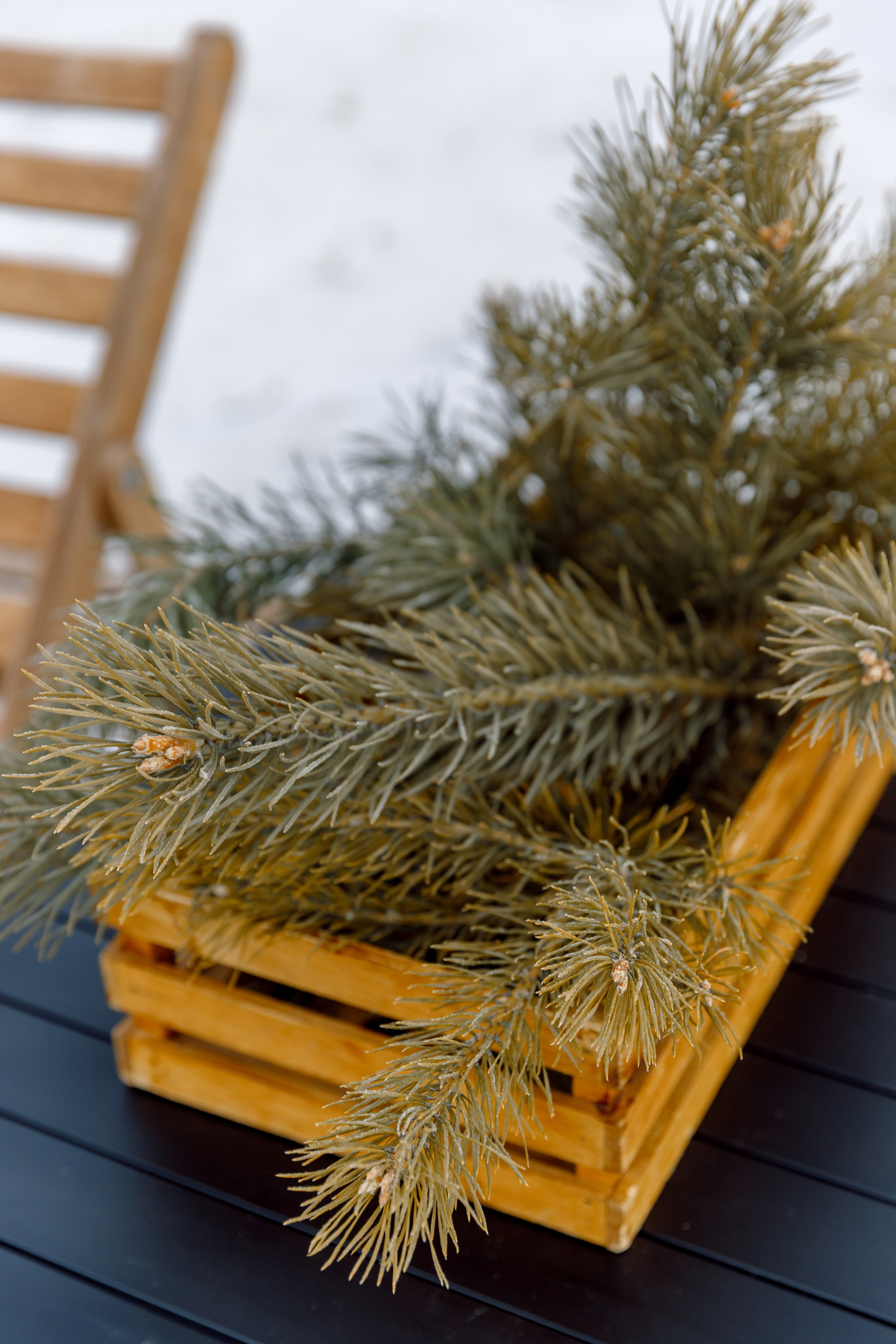 ЯБЛОКИ НА СНЕГУ. Свадебный фотограф Иркутск, репортажный фотограф Иркутск