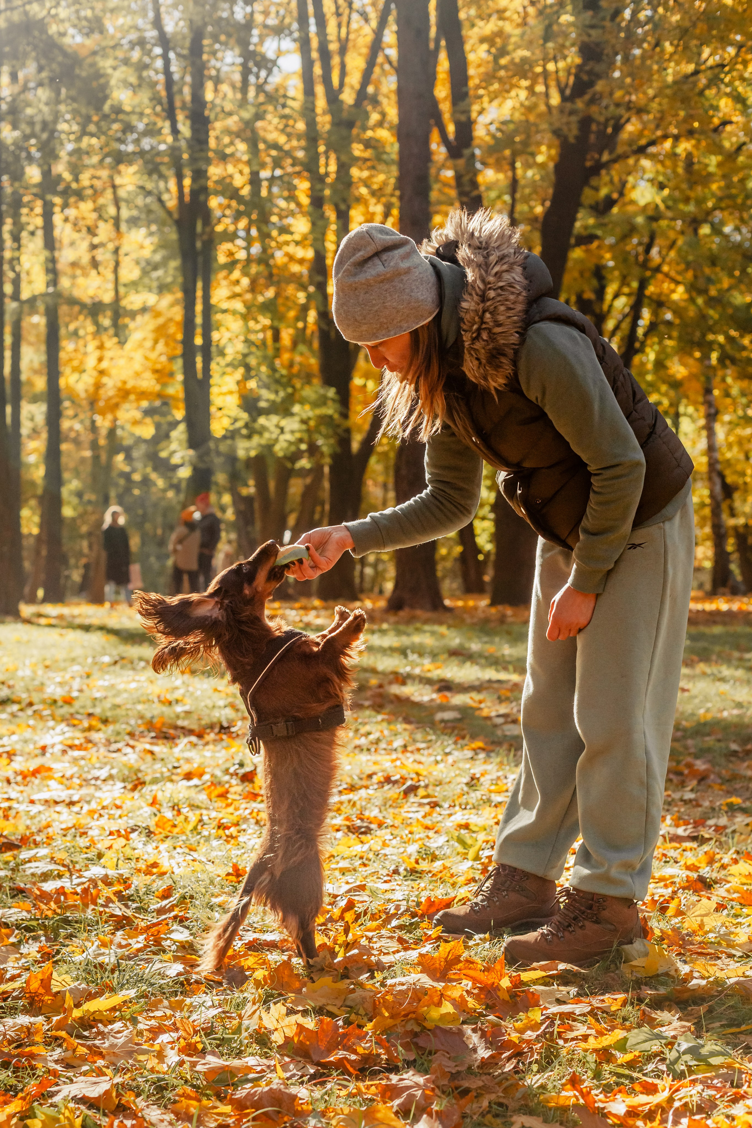 Света, Хайди, Богдана. Фотограф-анималист Татьяна Степанова